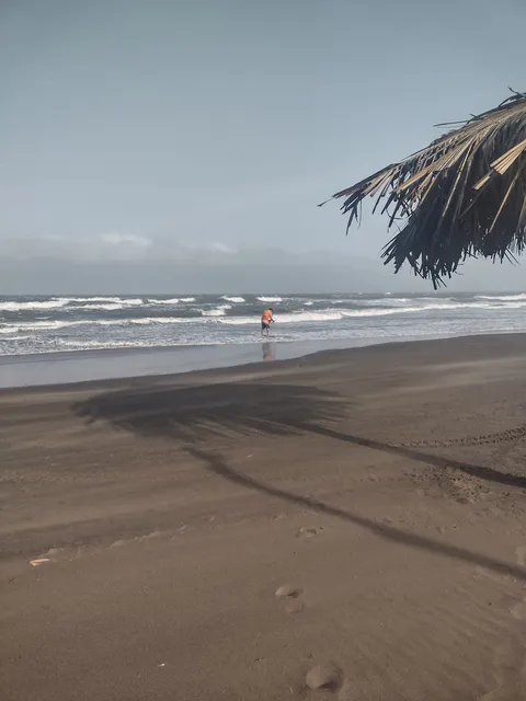 Centro Turístico "La Playitaa" image 3