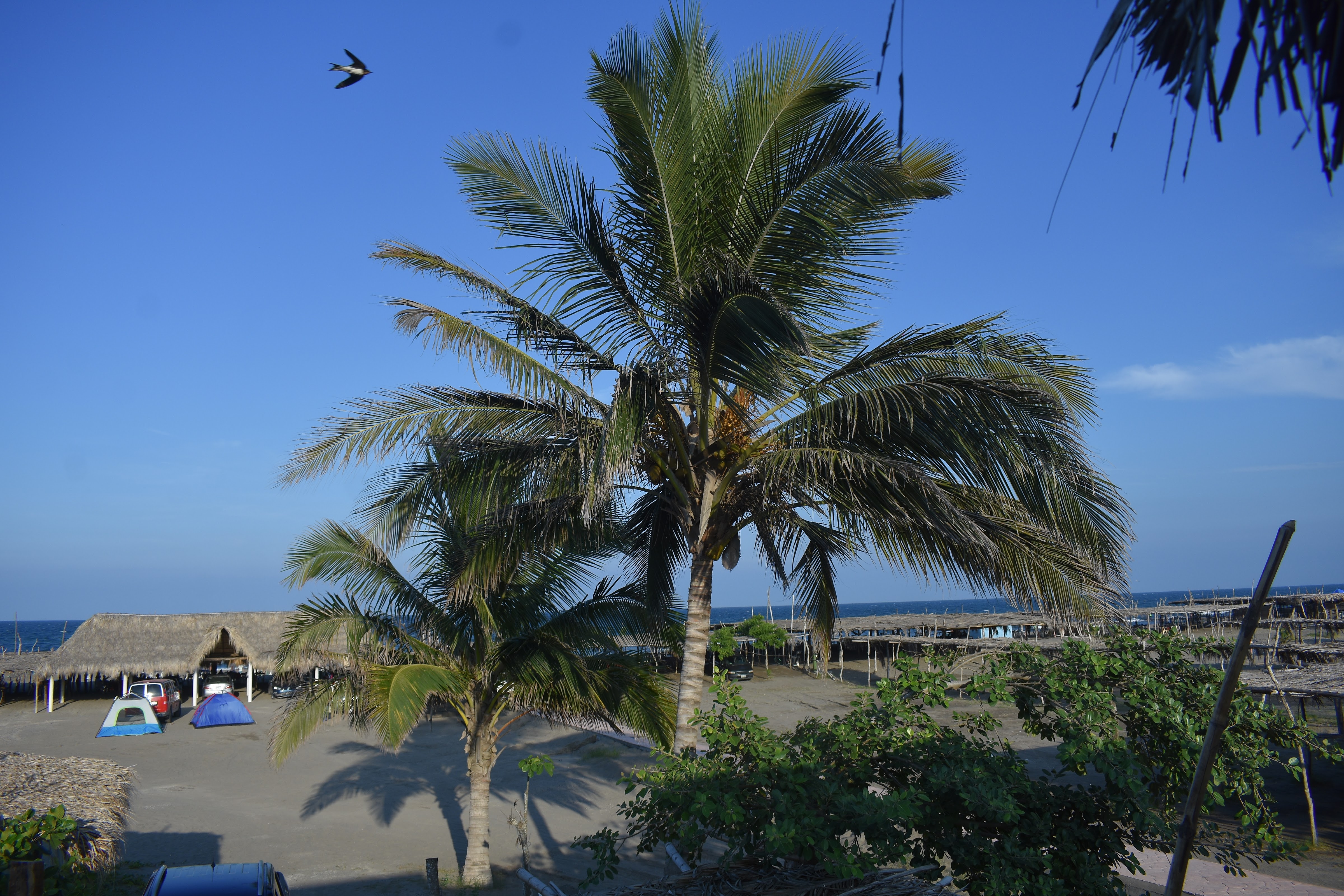 Centro Turístico "La Playitaa" image 9