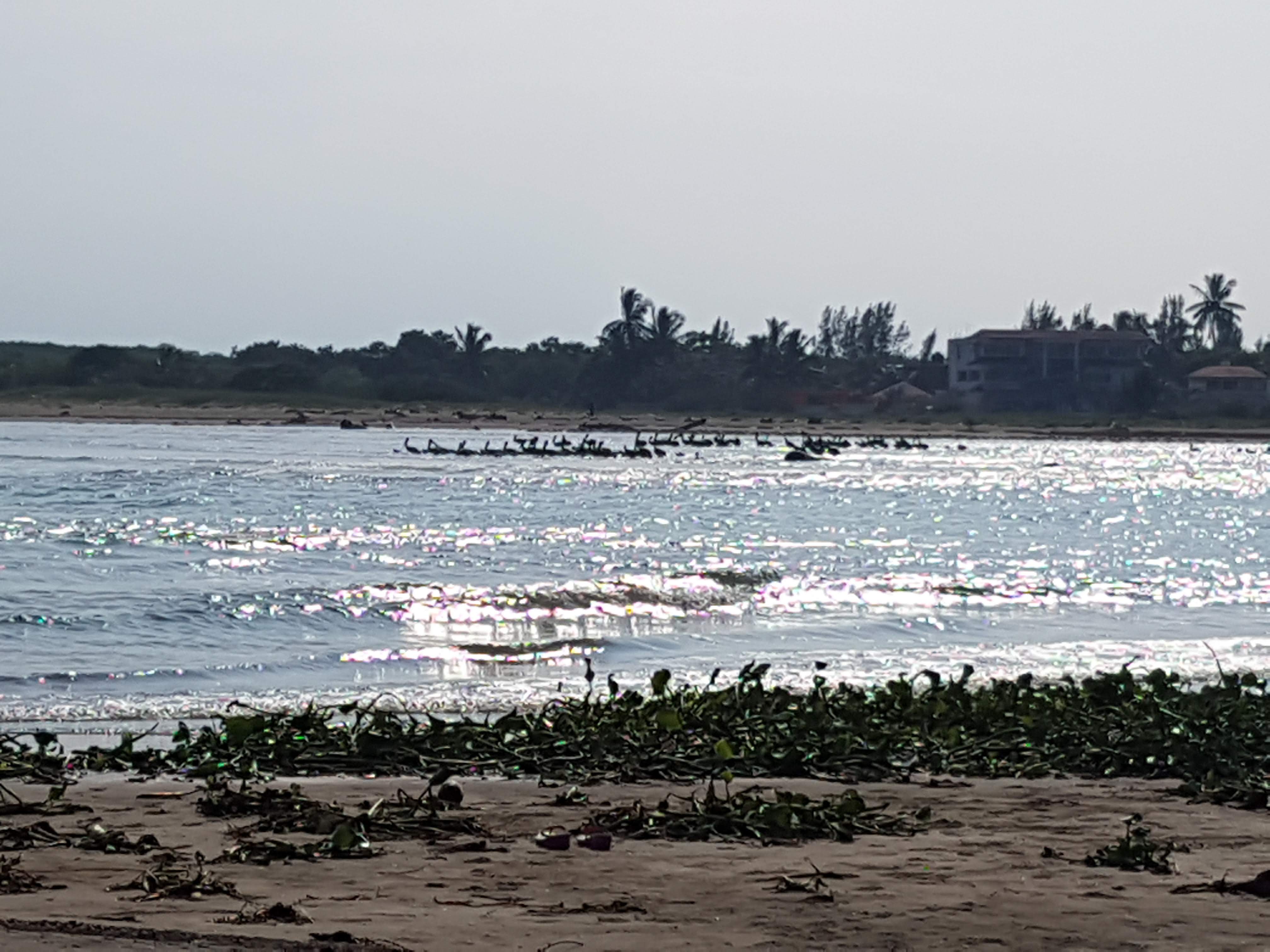 Cabaña Los Compadres image 9