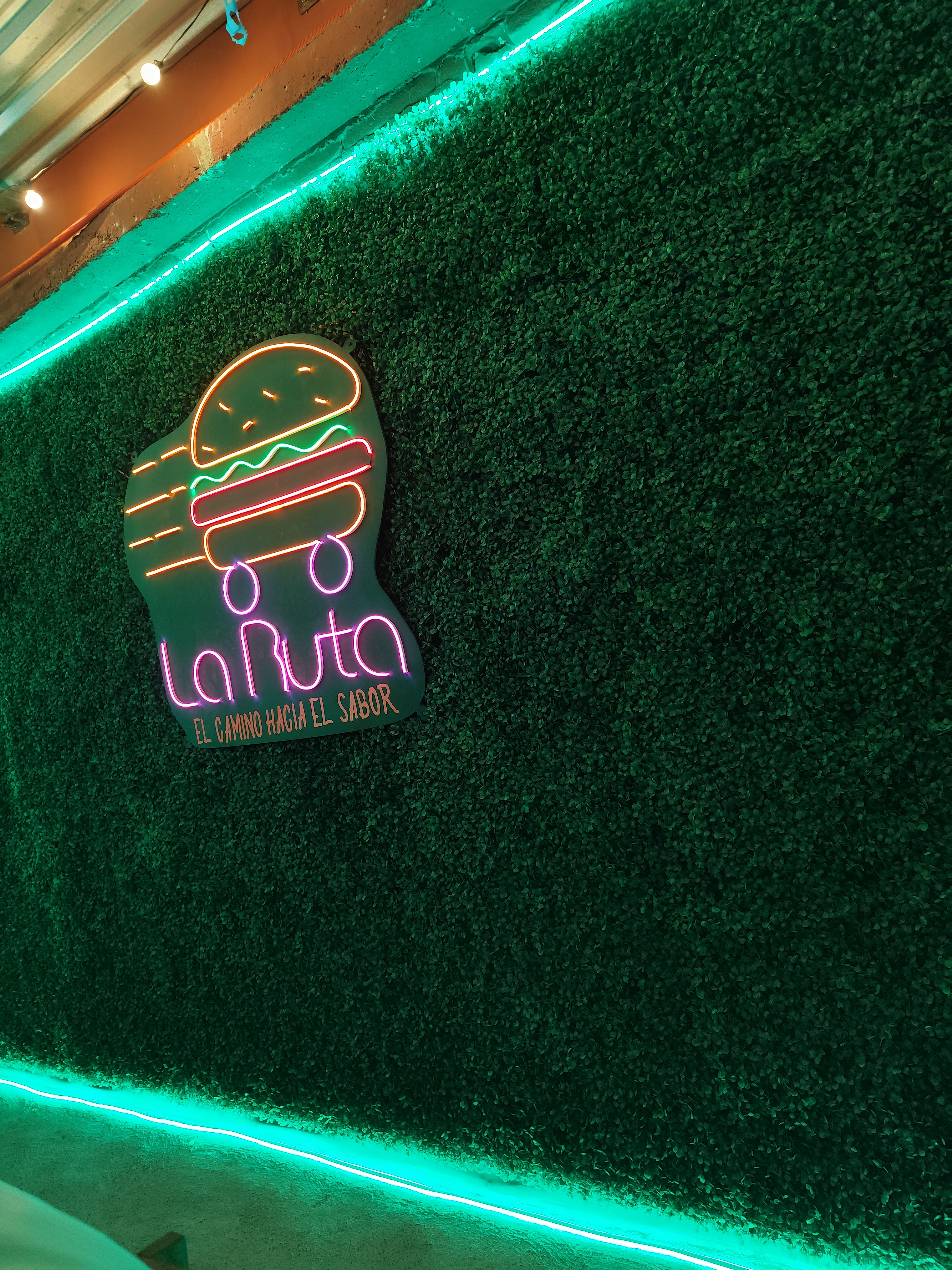 LA RUTA 1524 image 7