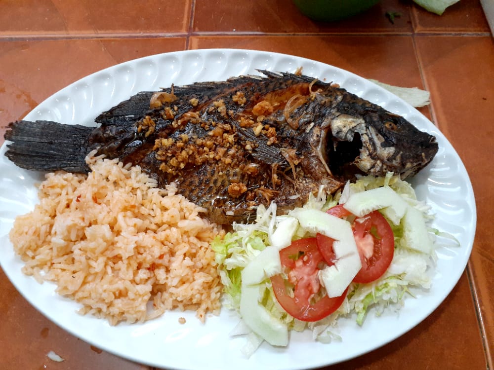 Cabaña Carmelita image 6