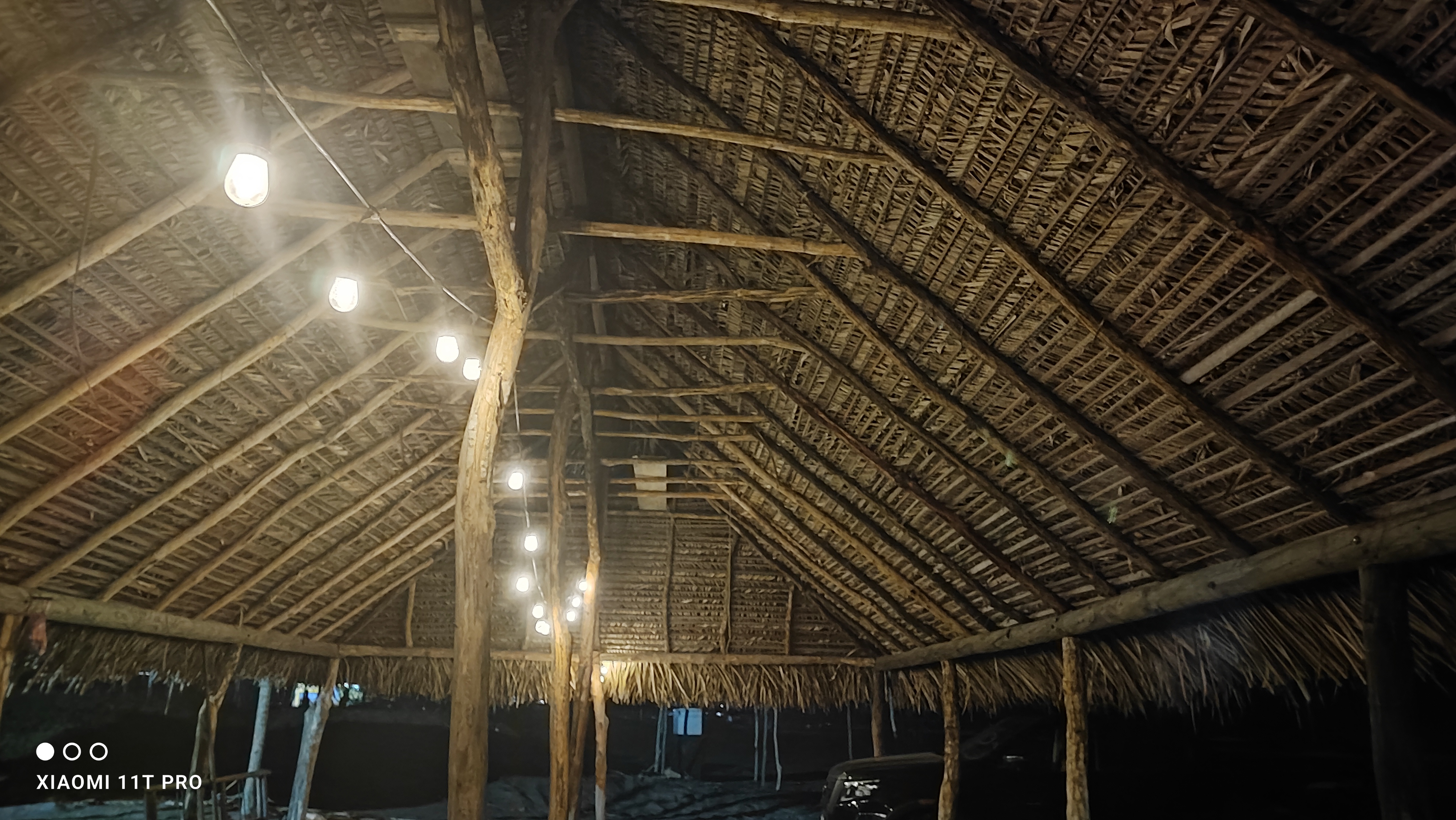 Palapa del sabanal image 2