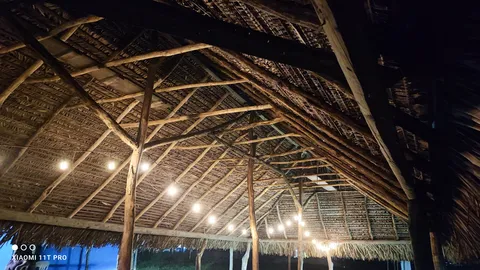 Palapa del sabanal image 4