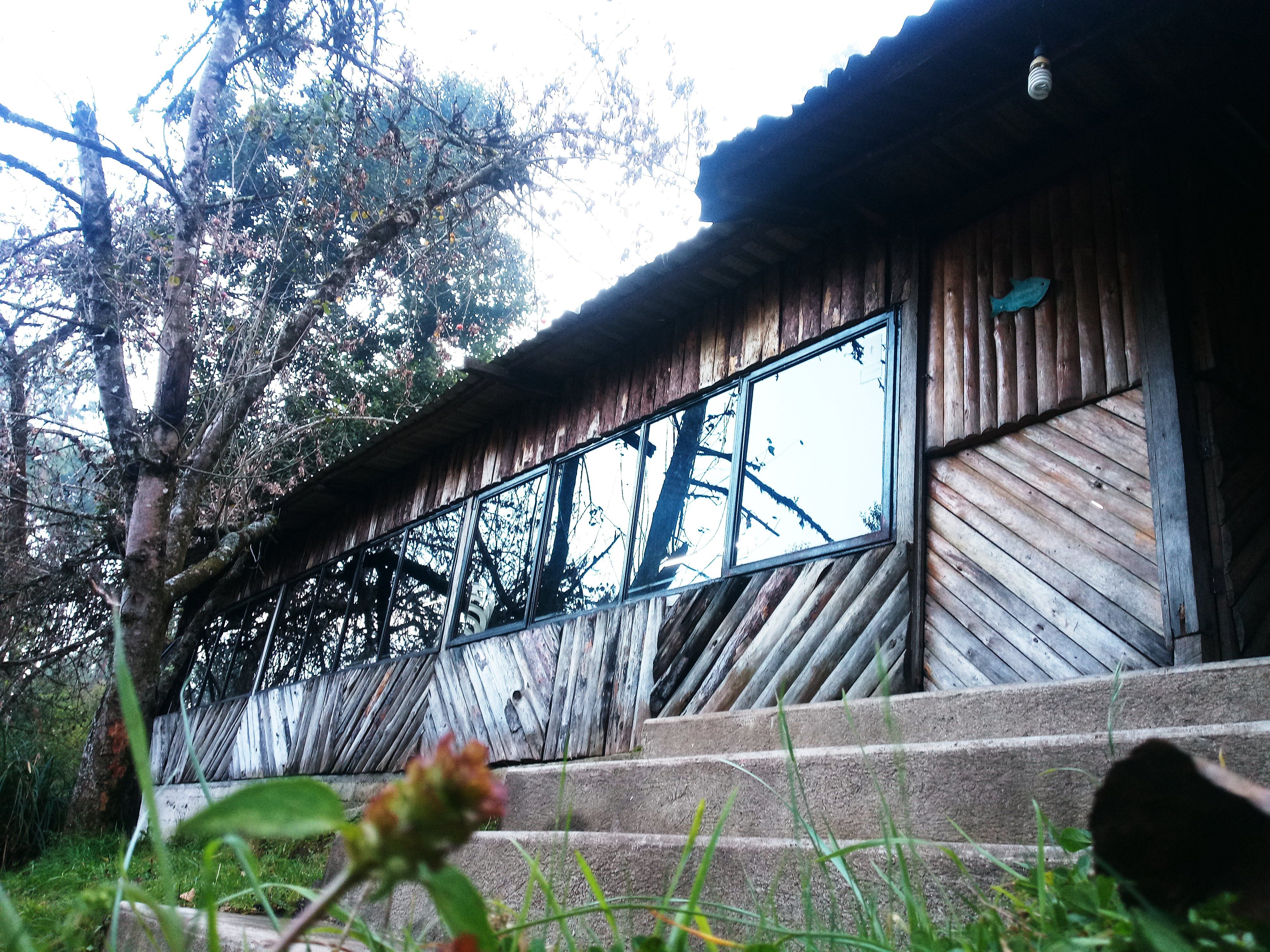 Truchas La Cueva image 4