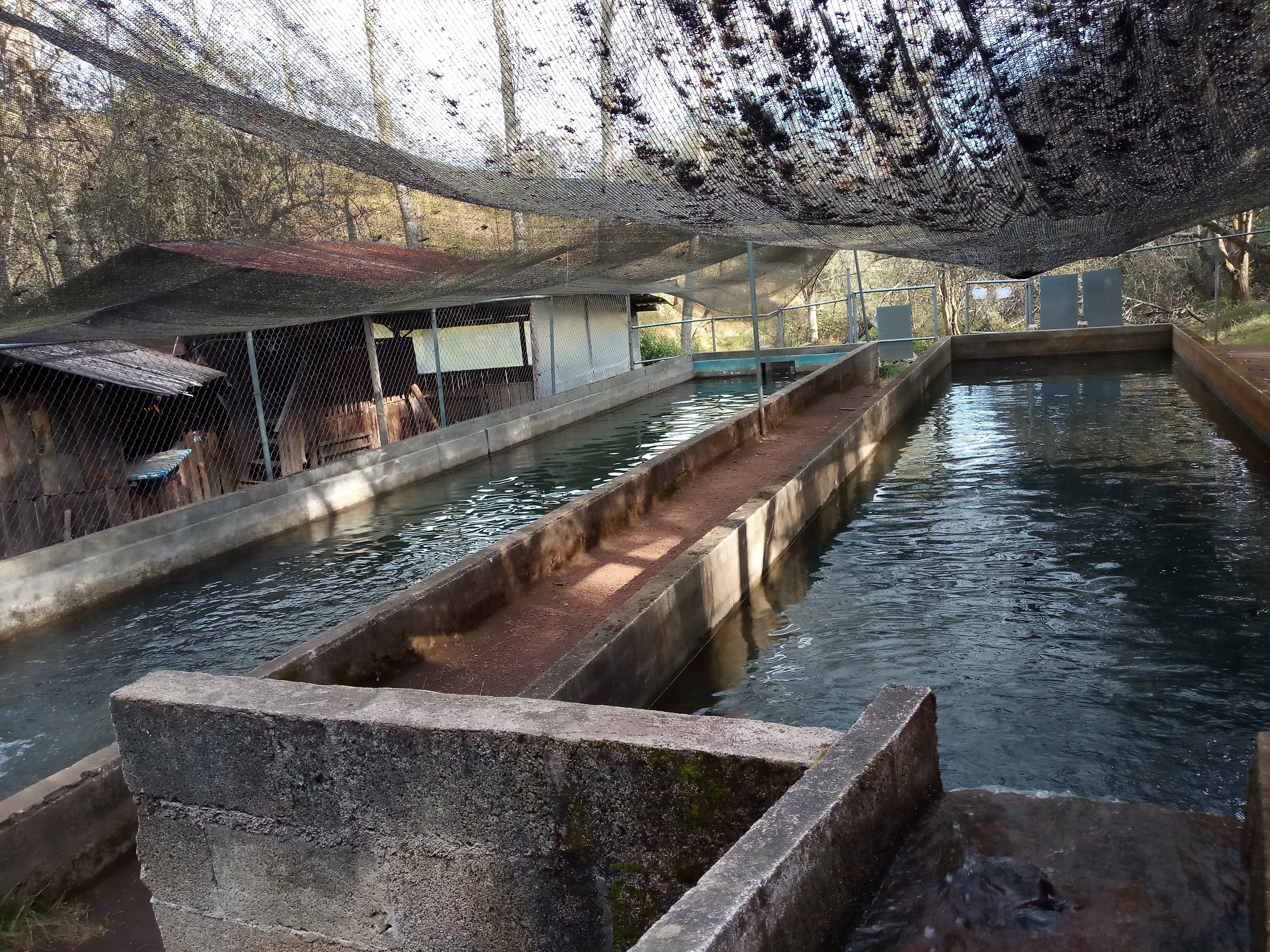 Truchas La Cueva image 10