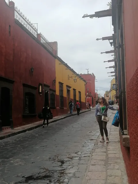 La Cartuja image 3