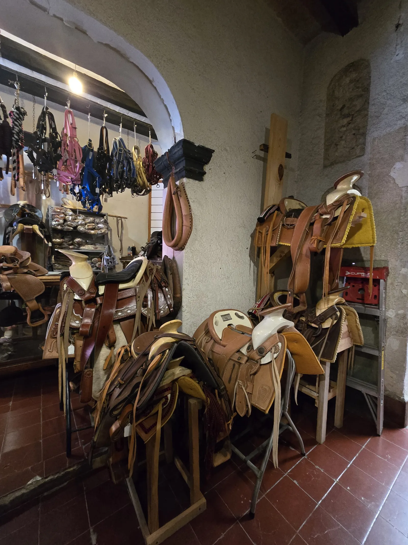 La Cartuja image 10