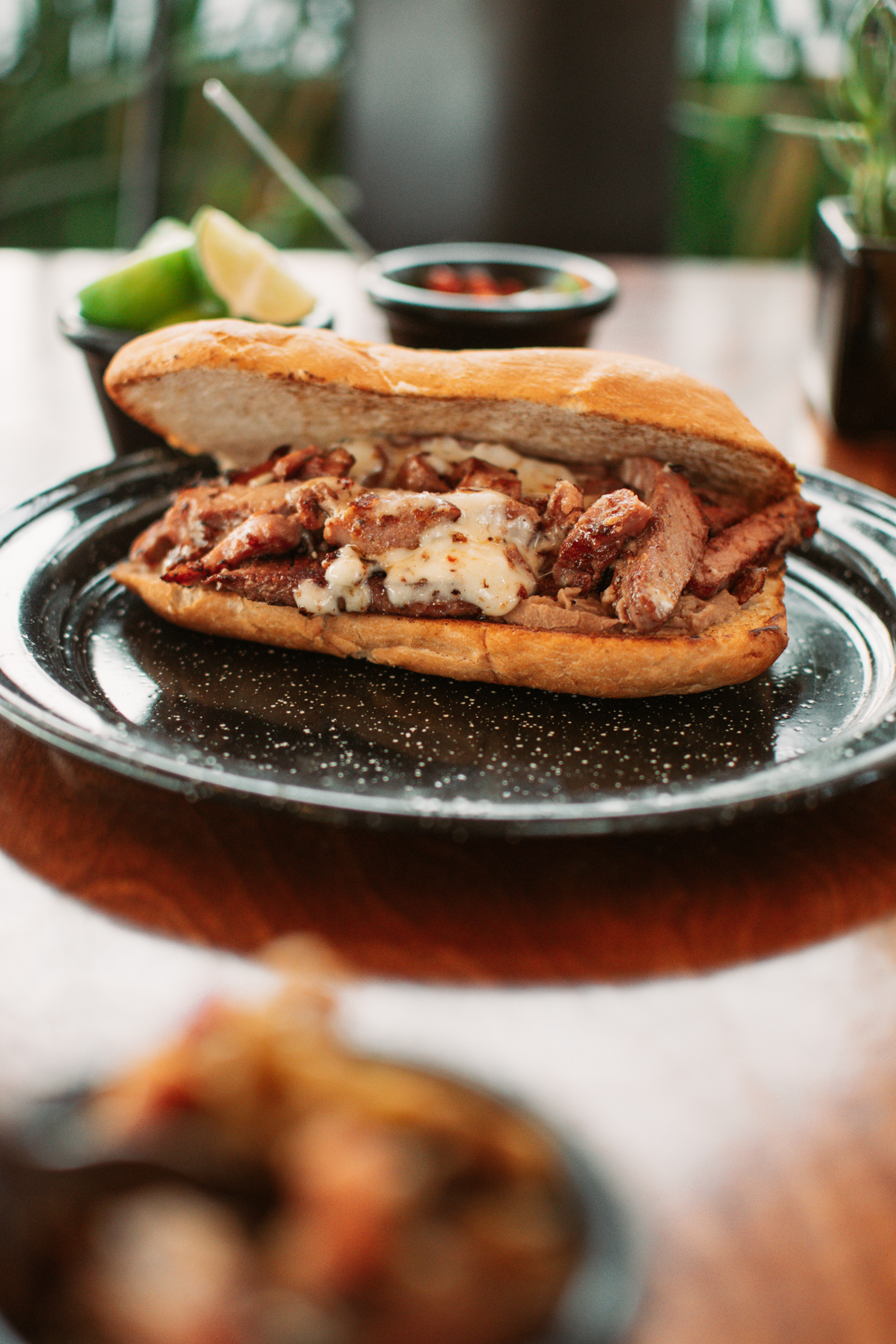 El Patrón Salvatierra image 3