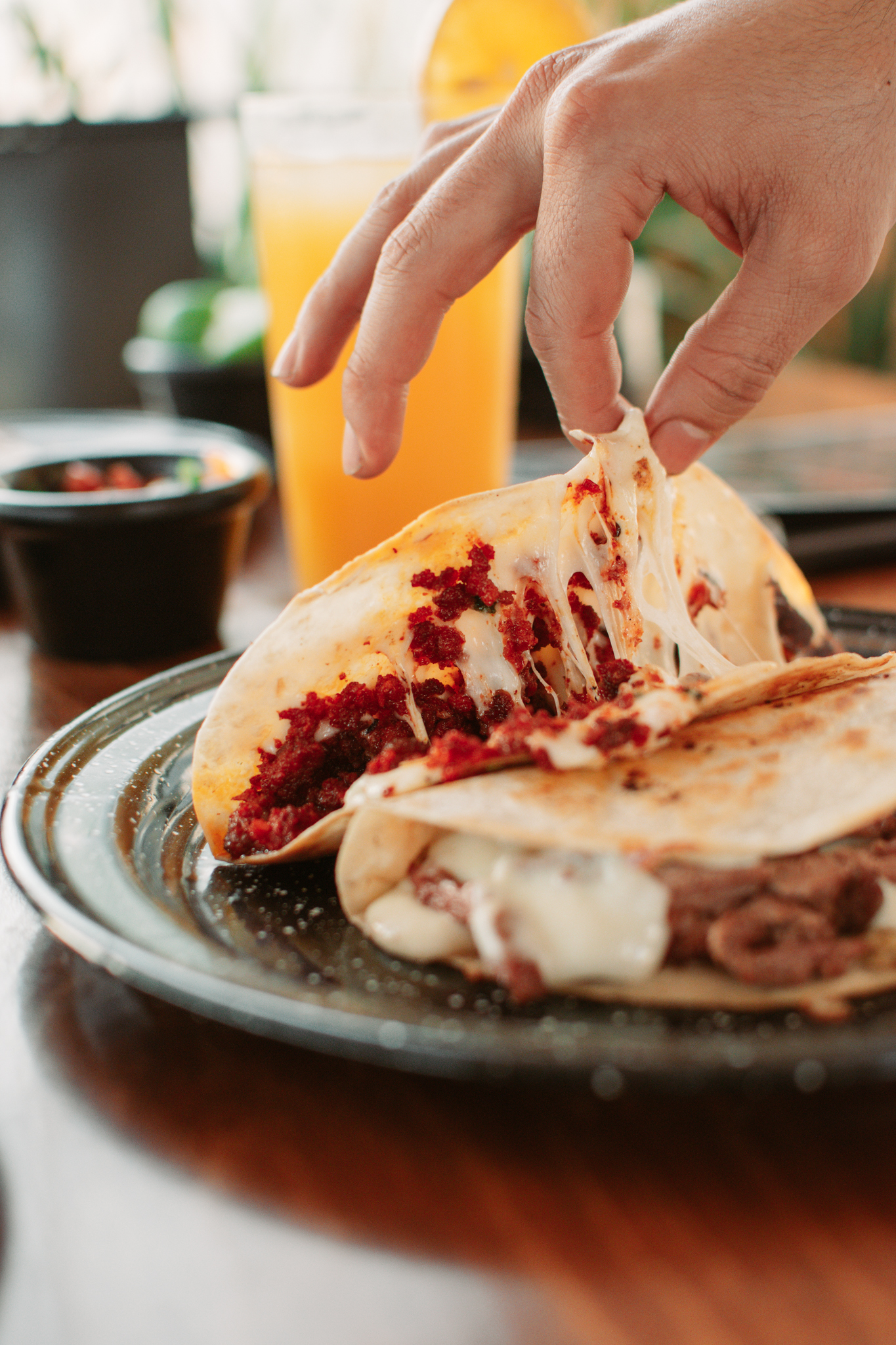 El Patrón Salvatierra image 5