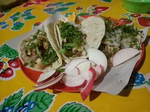 TAQUERIA D LIRIO image 1