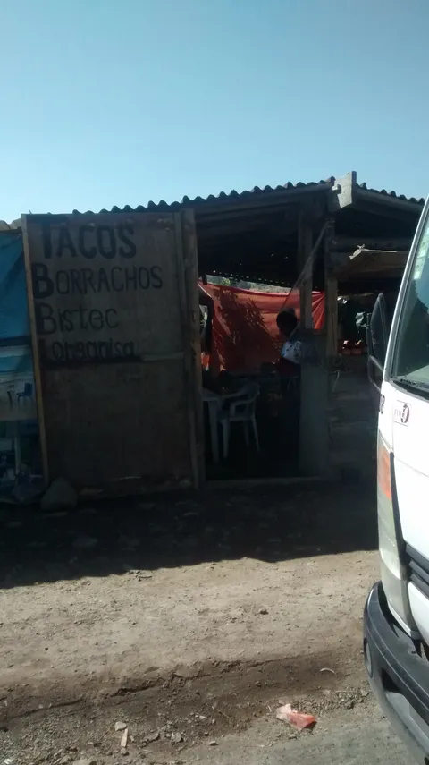 Tacos Borrachos image 4