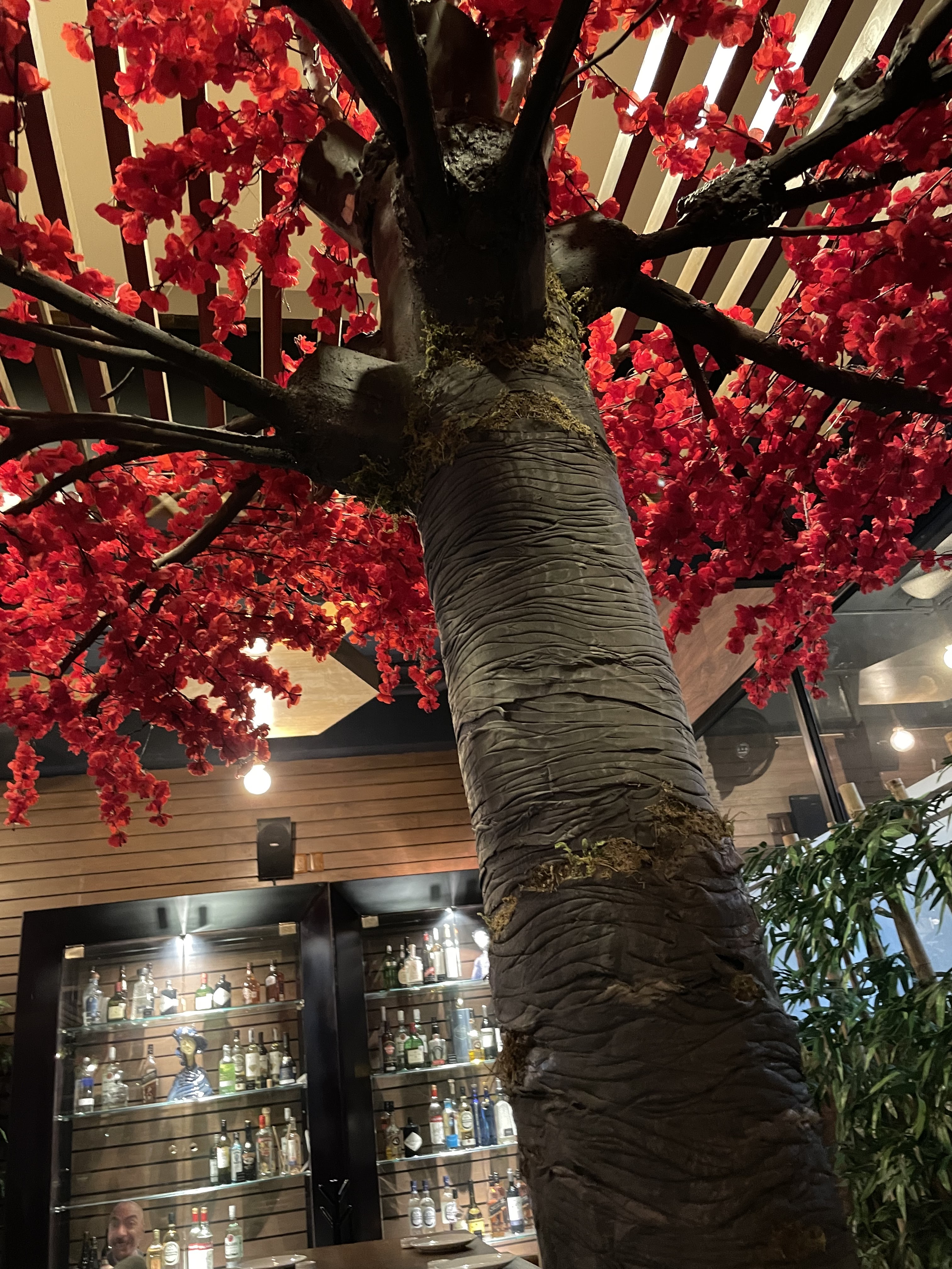 Hikari Green Plaza image 6