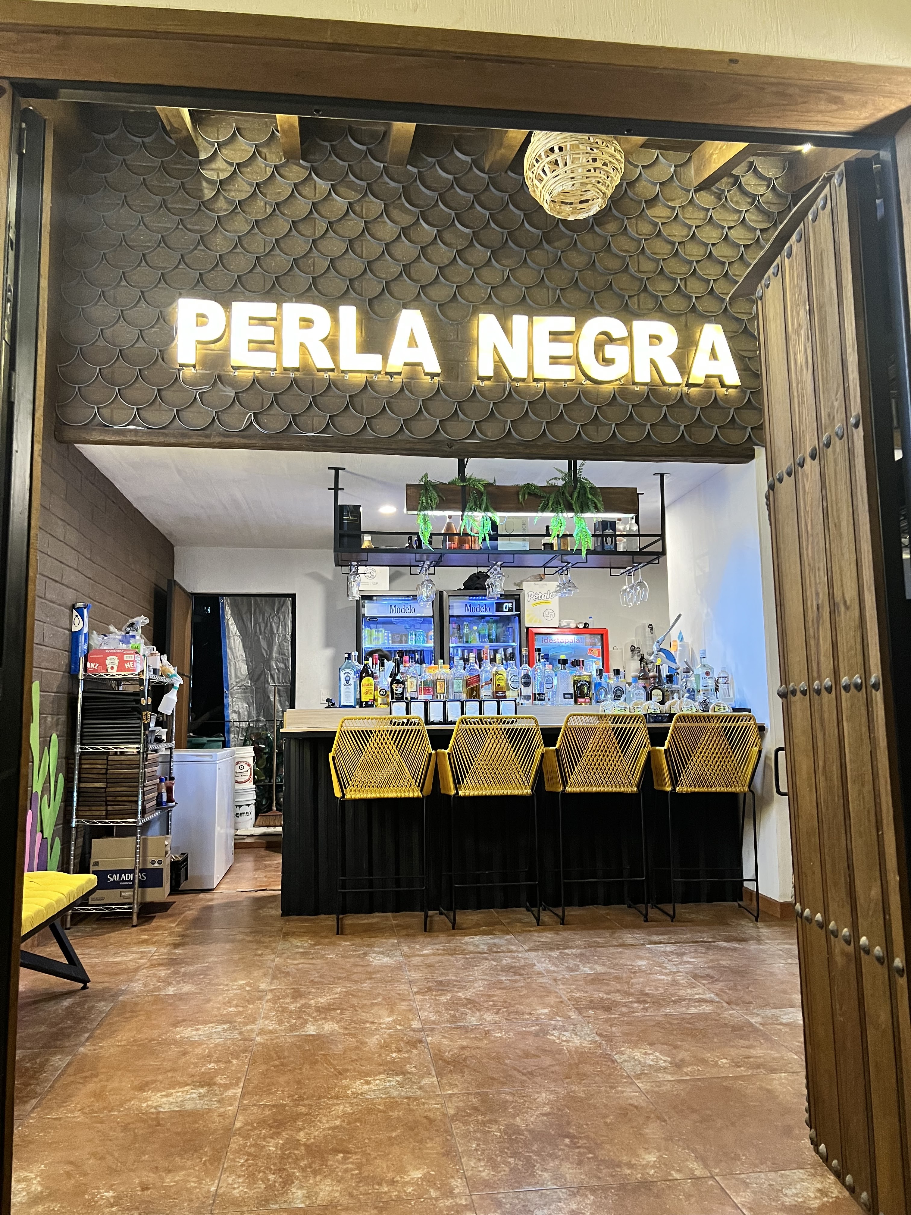 Perla Negra image 1