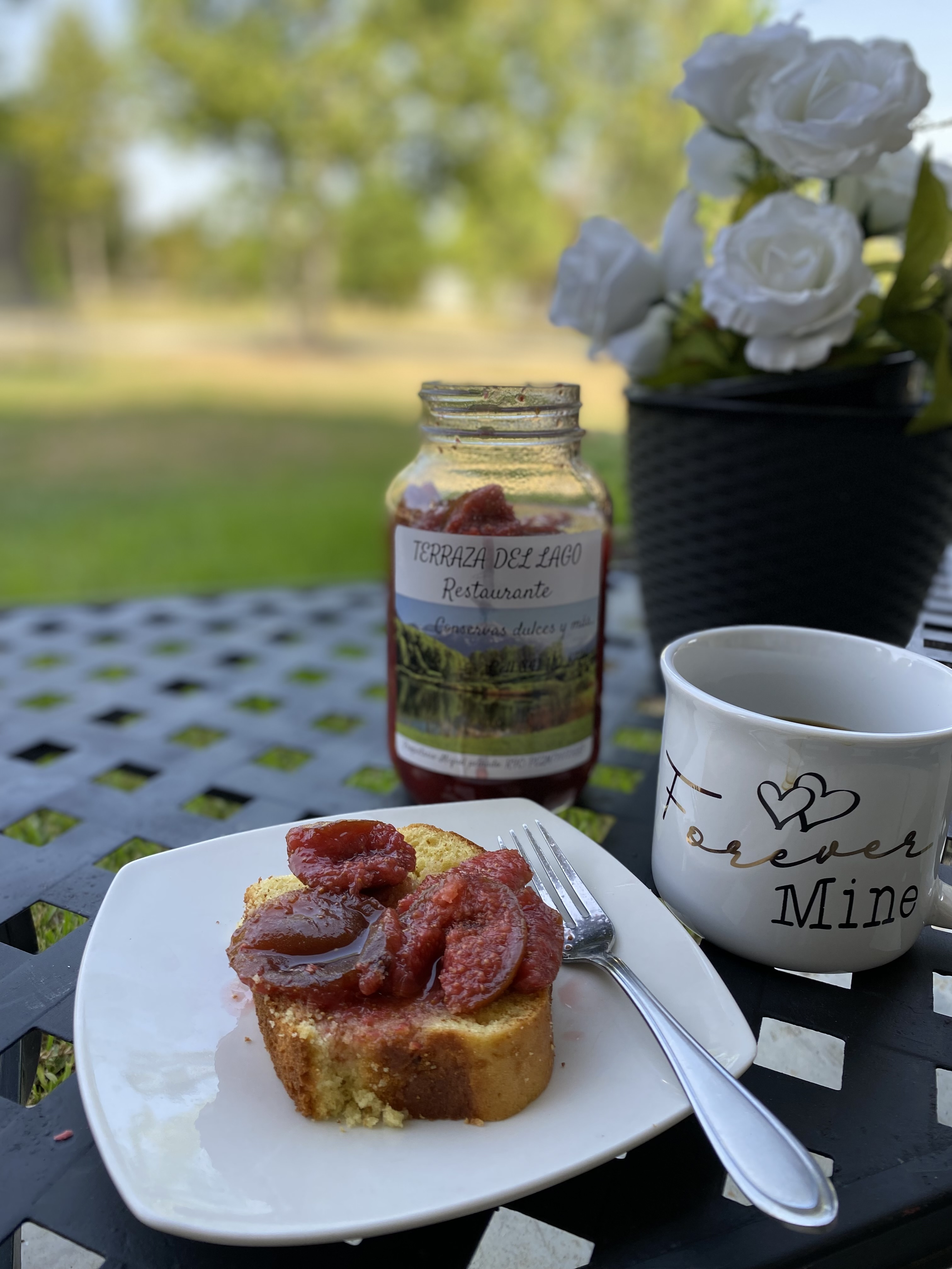 Terraza del lago Miguel image 4