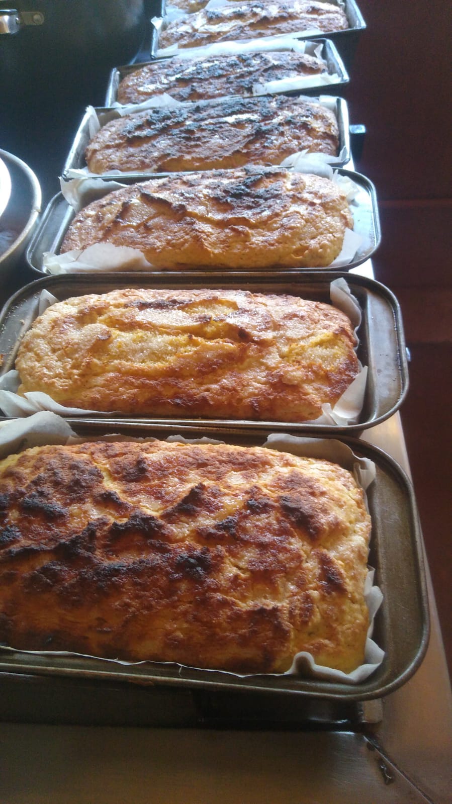 Terraza del lago Miguel image 6