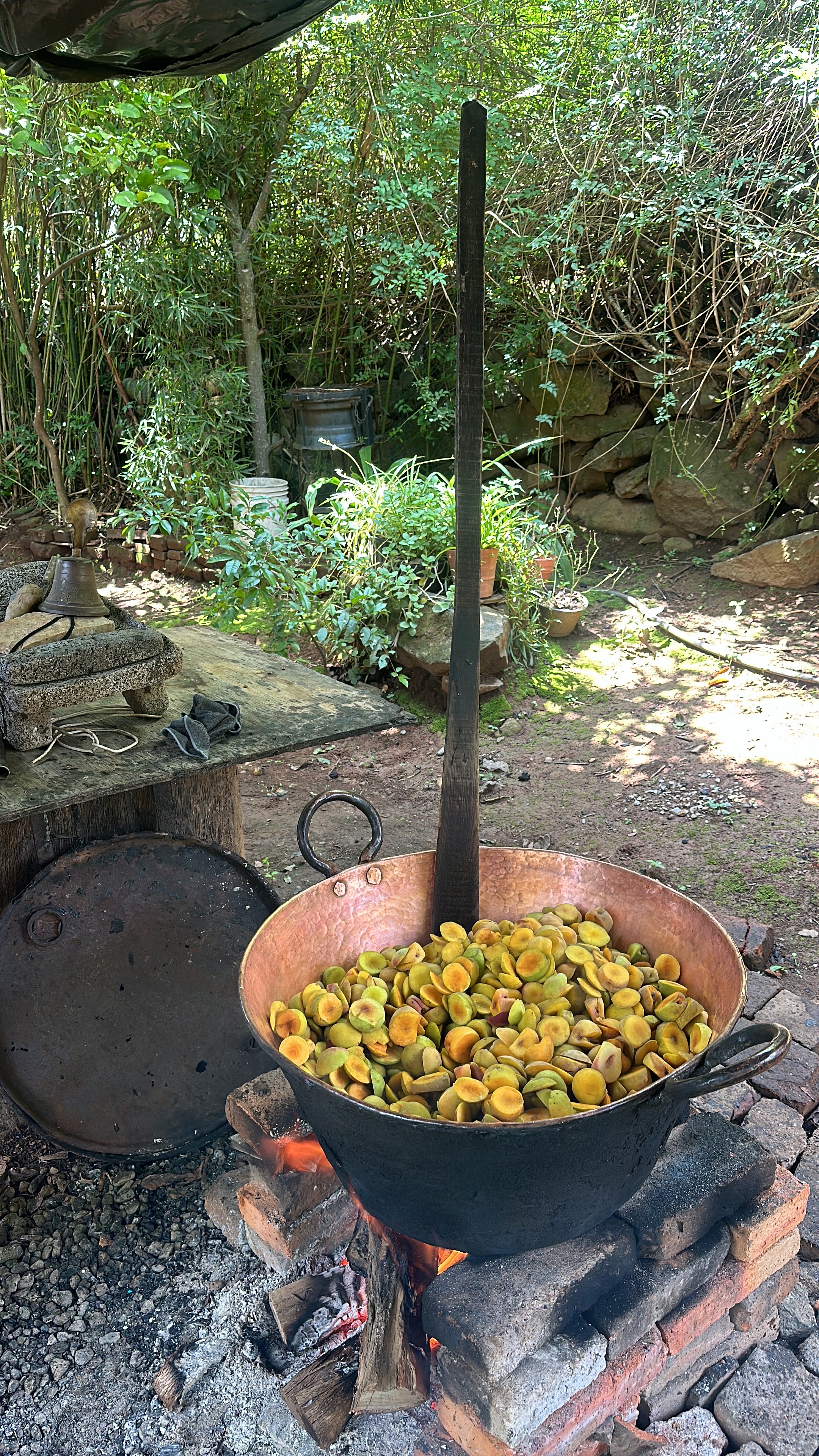 Terraza del lago Miguel image 10