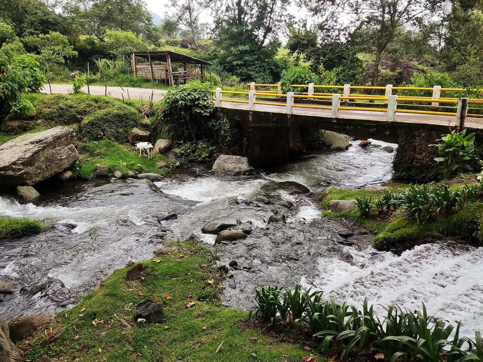 El Paraíso de la Trucha image 3