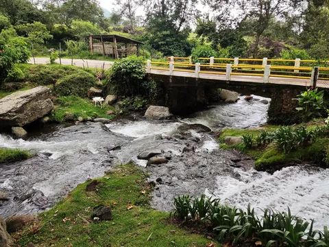 El Paraíso de la Trucha image 3