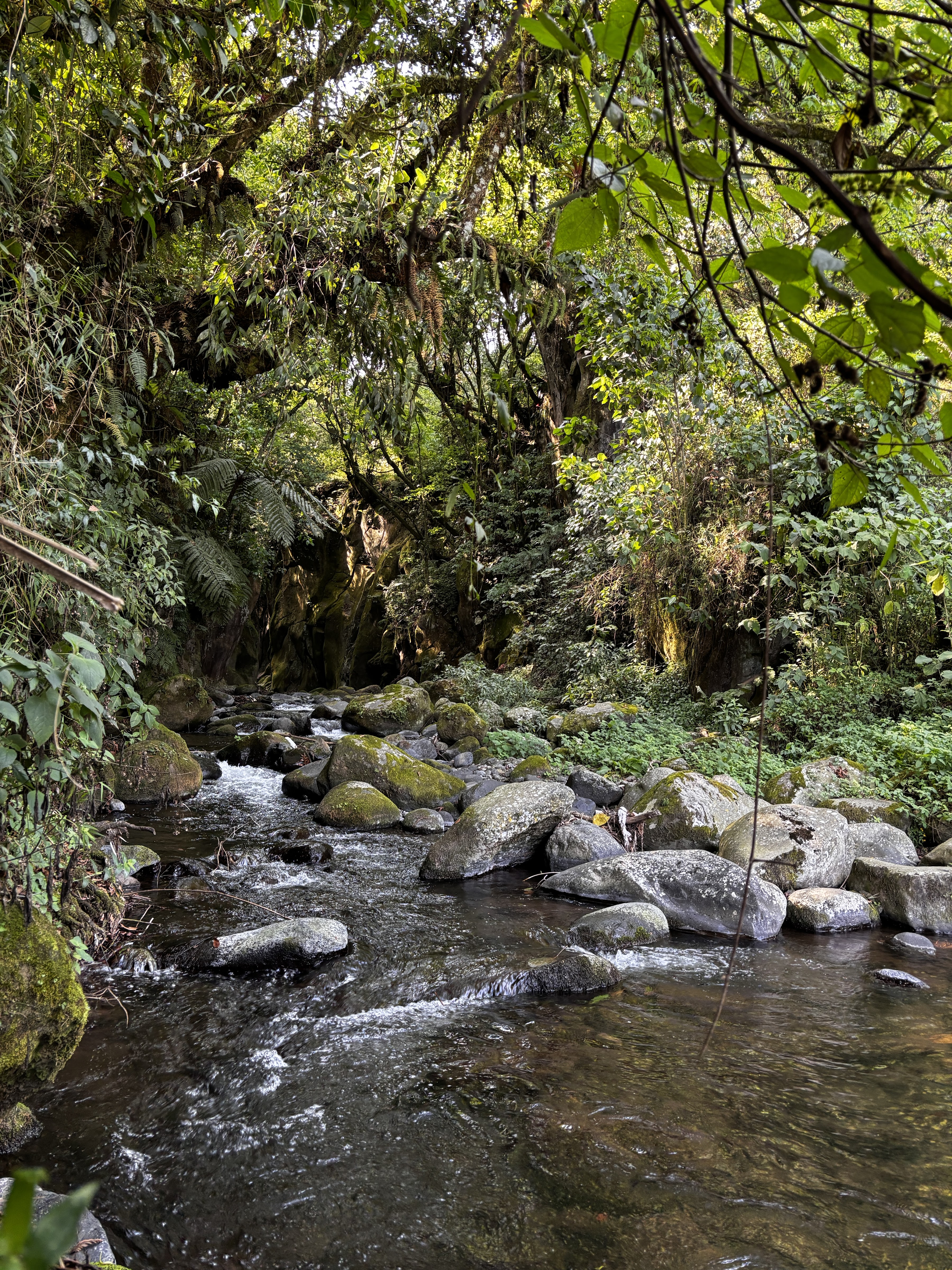 El Paraíso de la Trucha image 4
