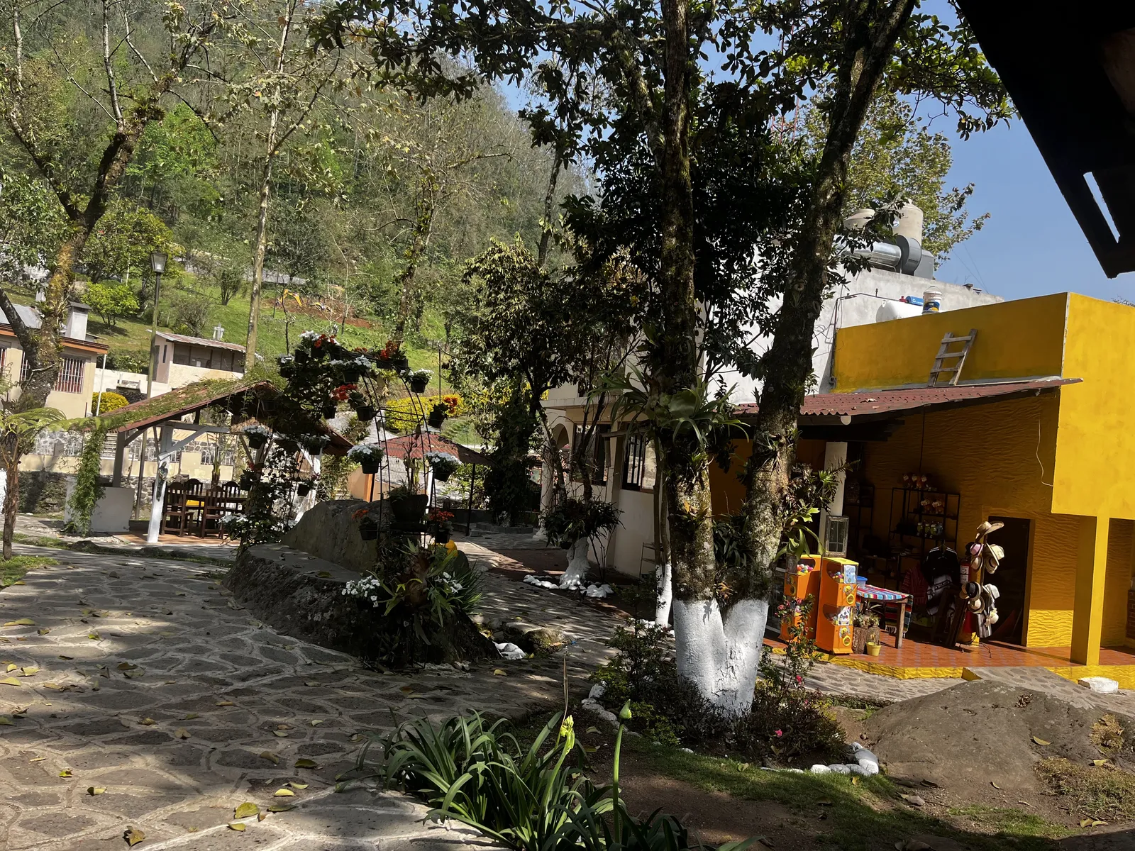 El Paraíso de la Trucha image 7