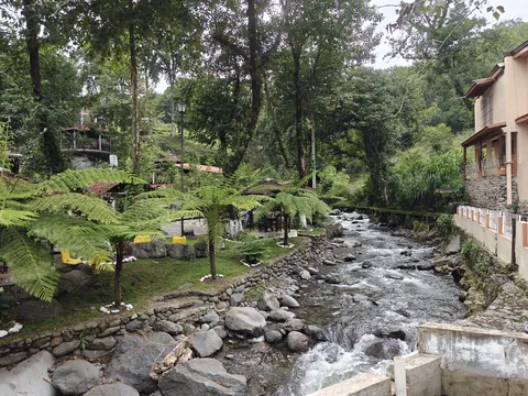 El Paraíso de la Trucha image 8