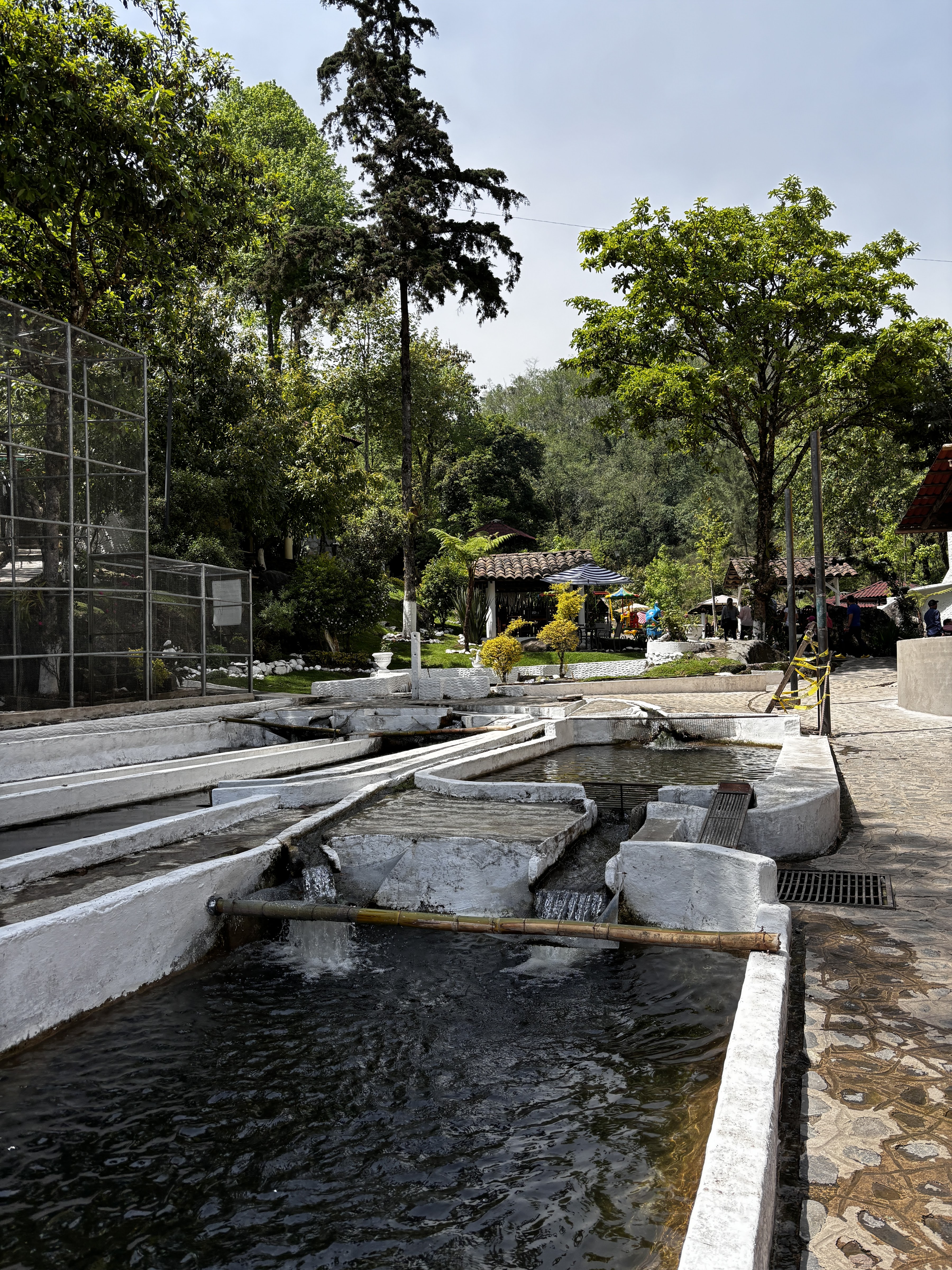 El Paraíso de la Trucha image 10