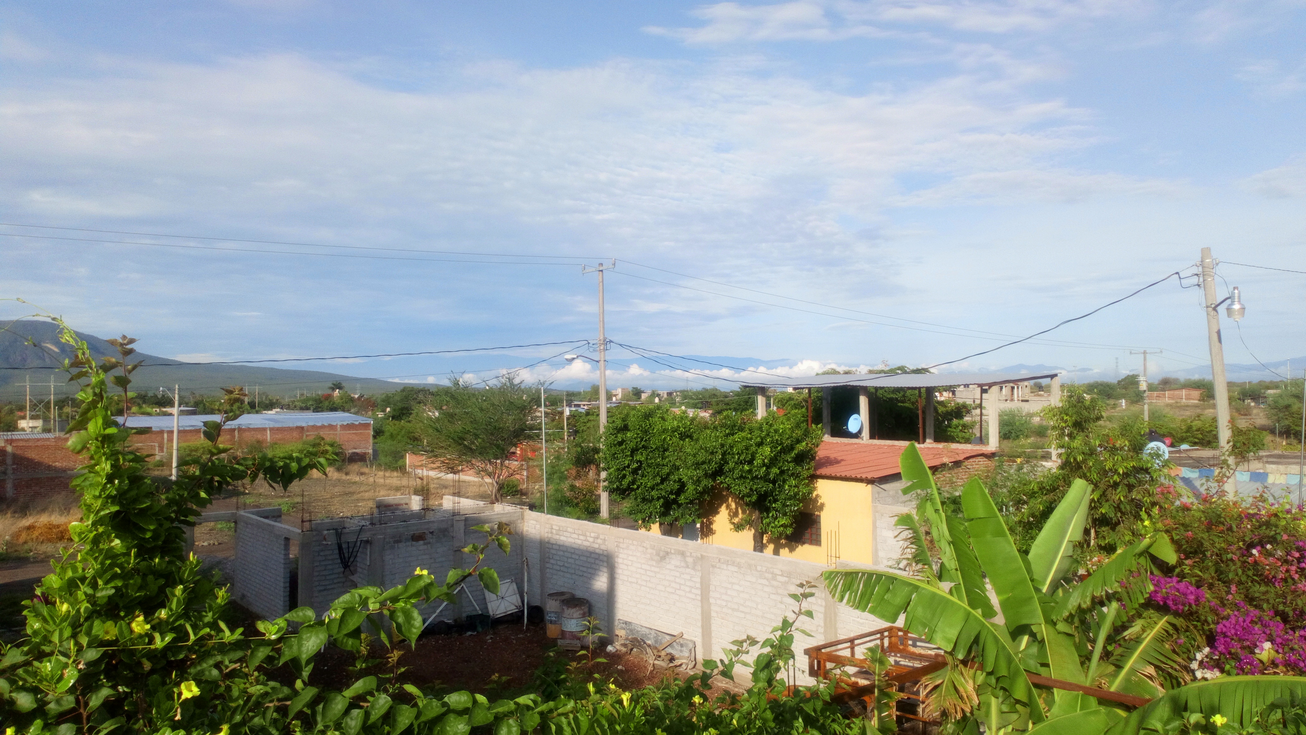 Hamburguesas El Primitin image 6