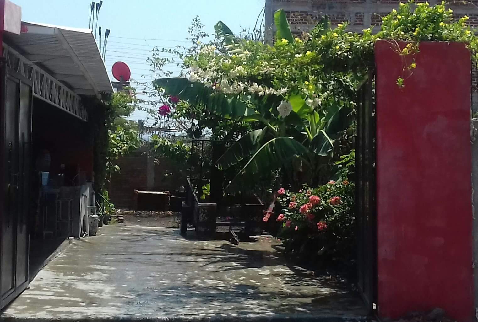 Hamburguesas El Primitin image 7