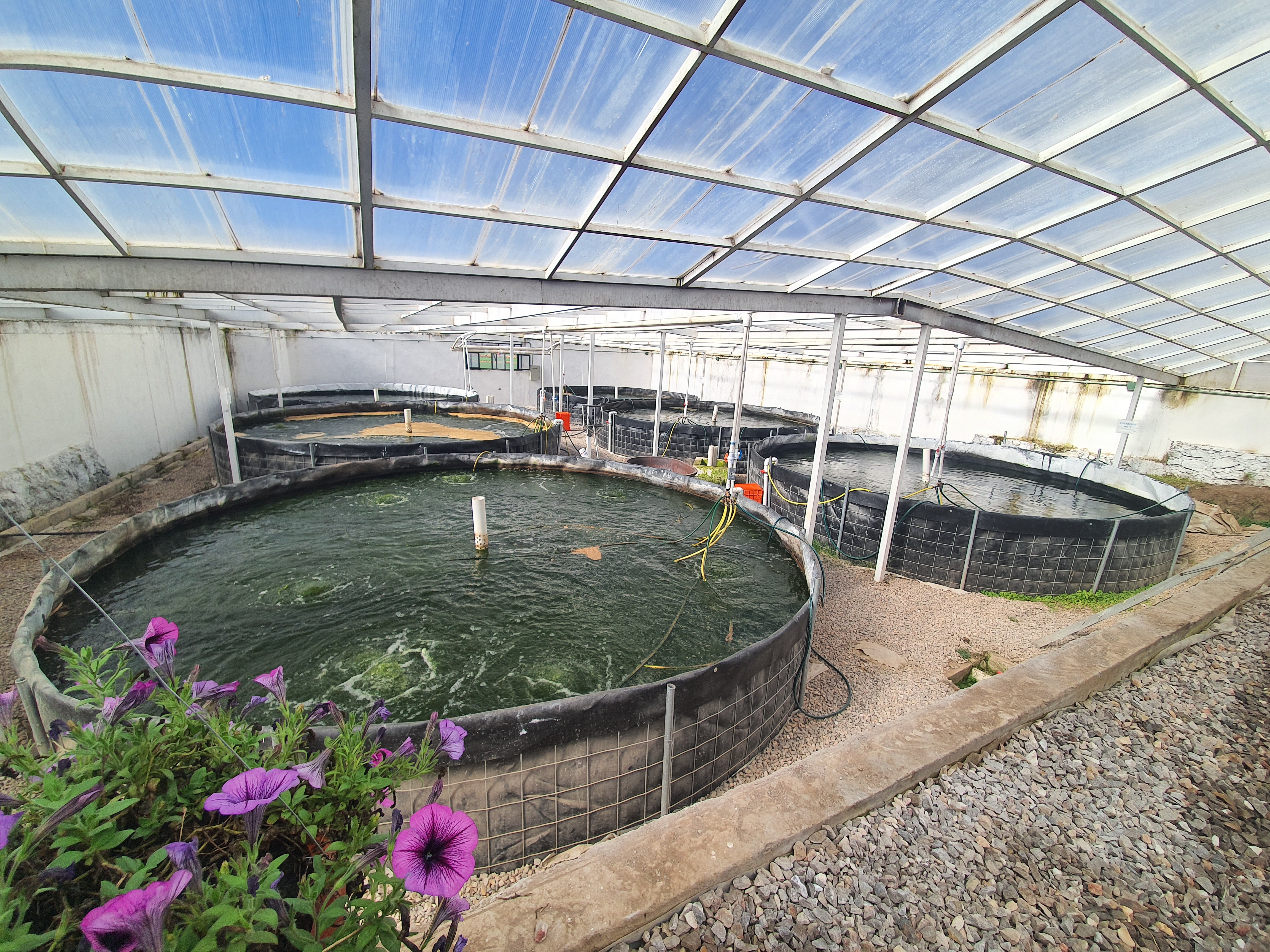 Rancho El Pescador image 2