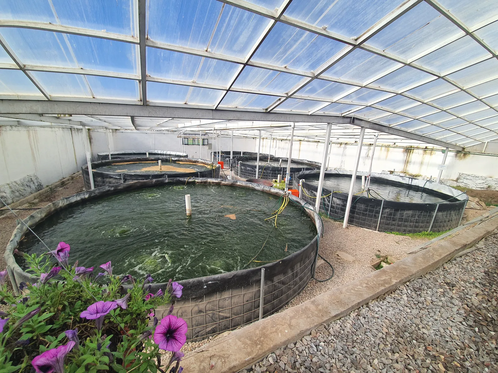 Rancho El Pescador image 2