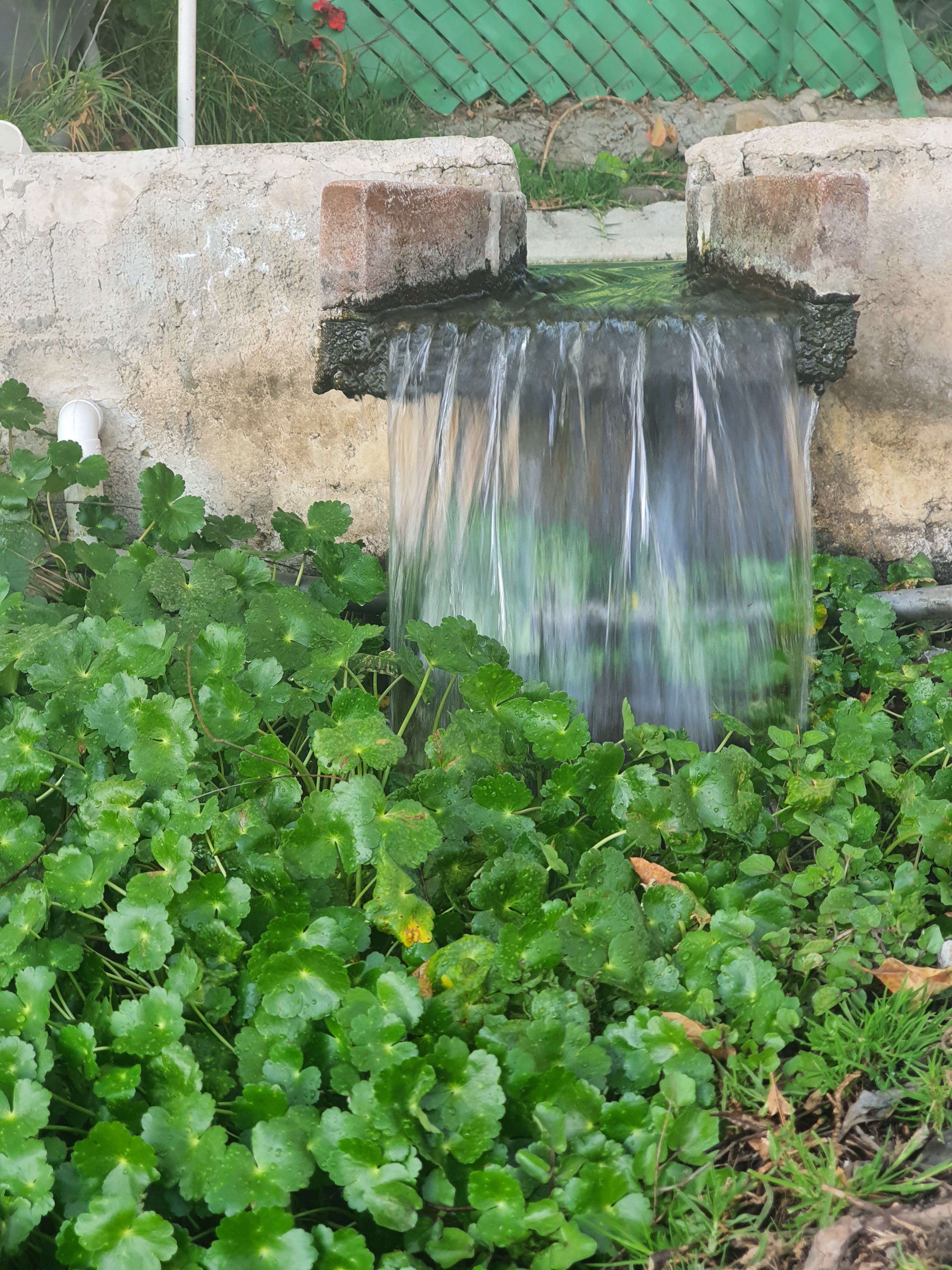 Rancho El Pescador image 3