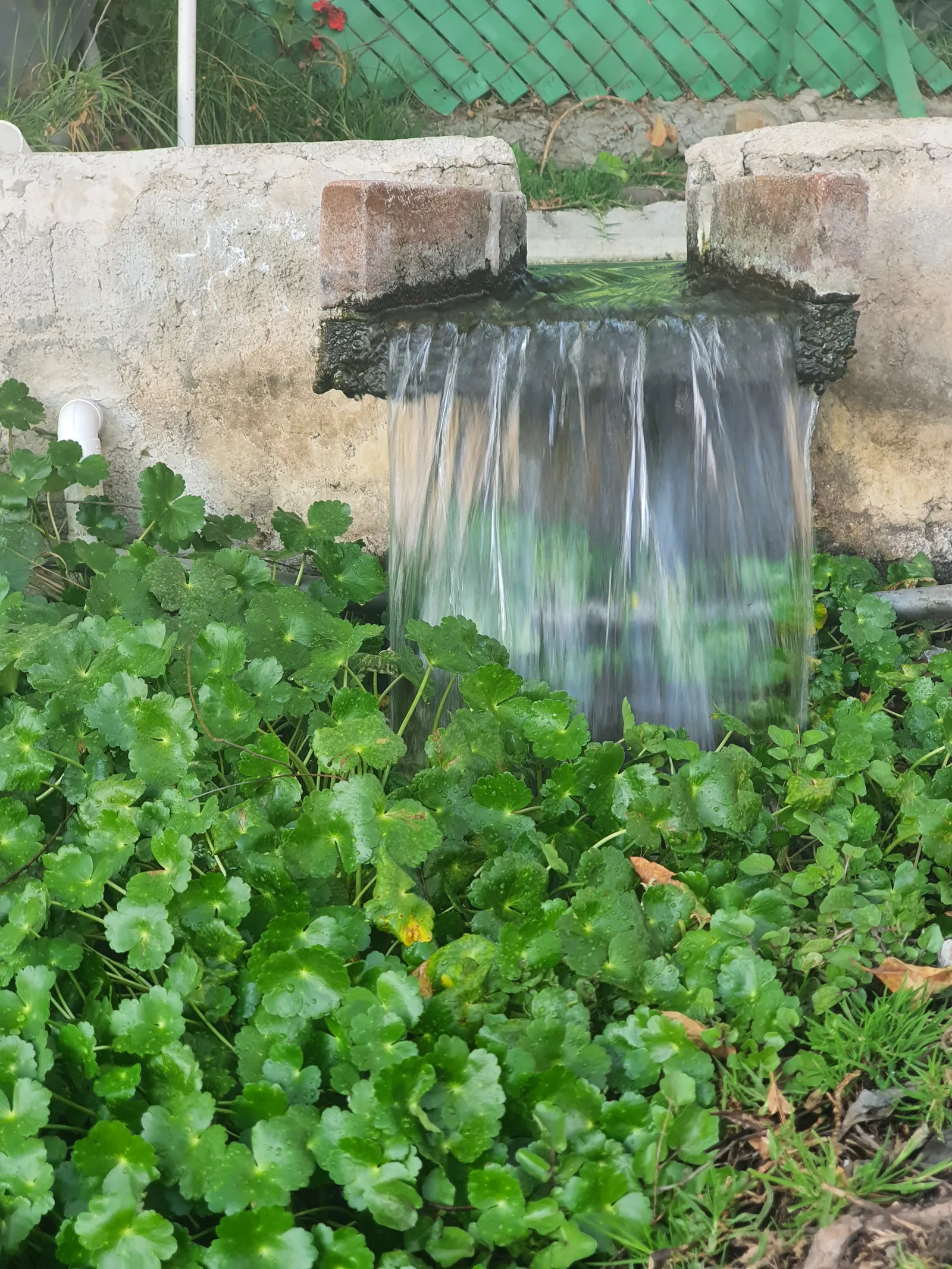 Rancho El Pescador image 3