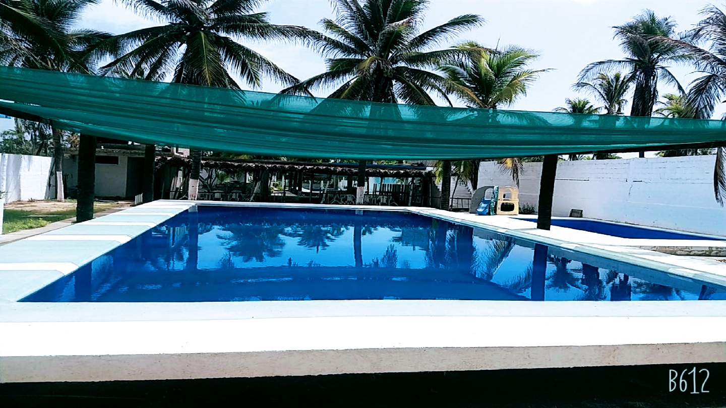 Los Panchitos image 3