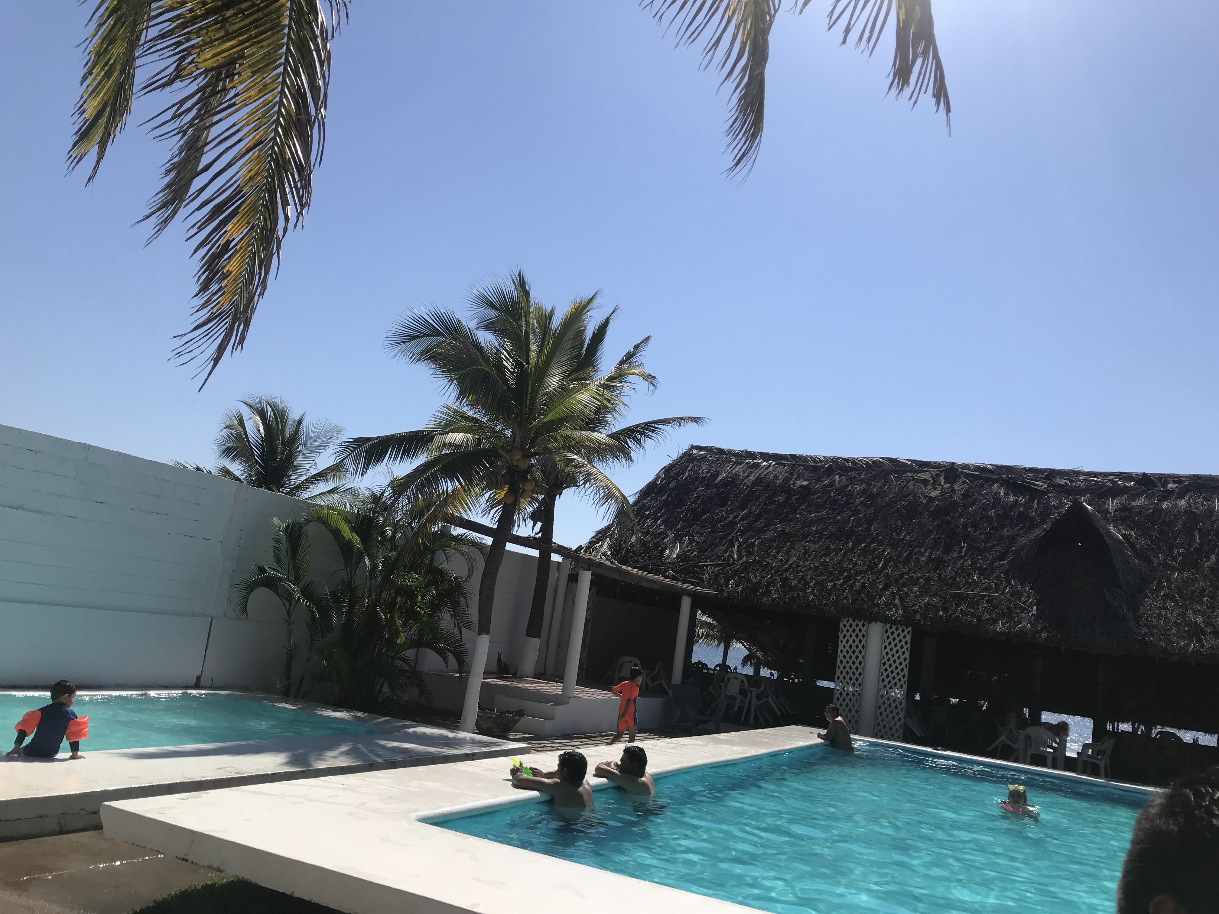 Los Panchitos image 4