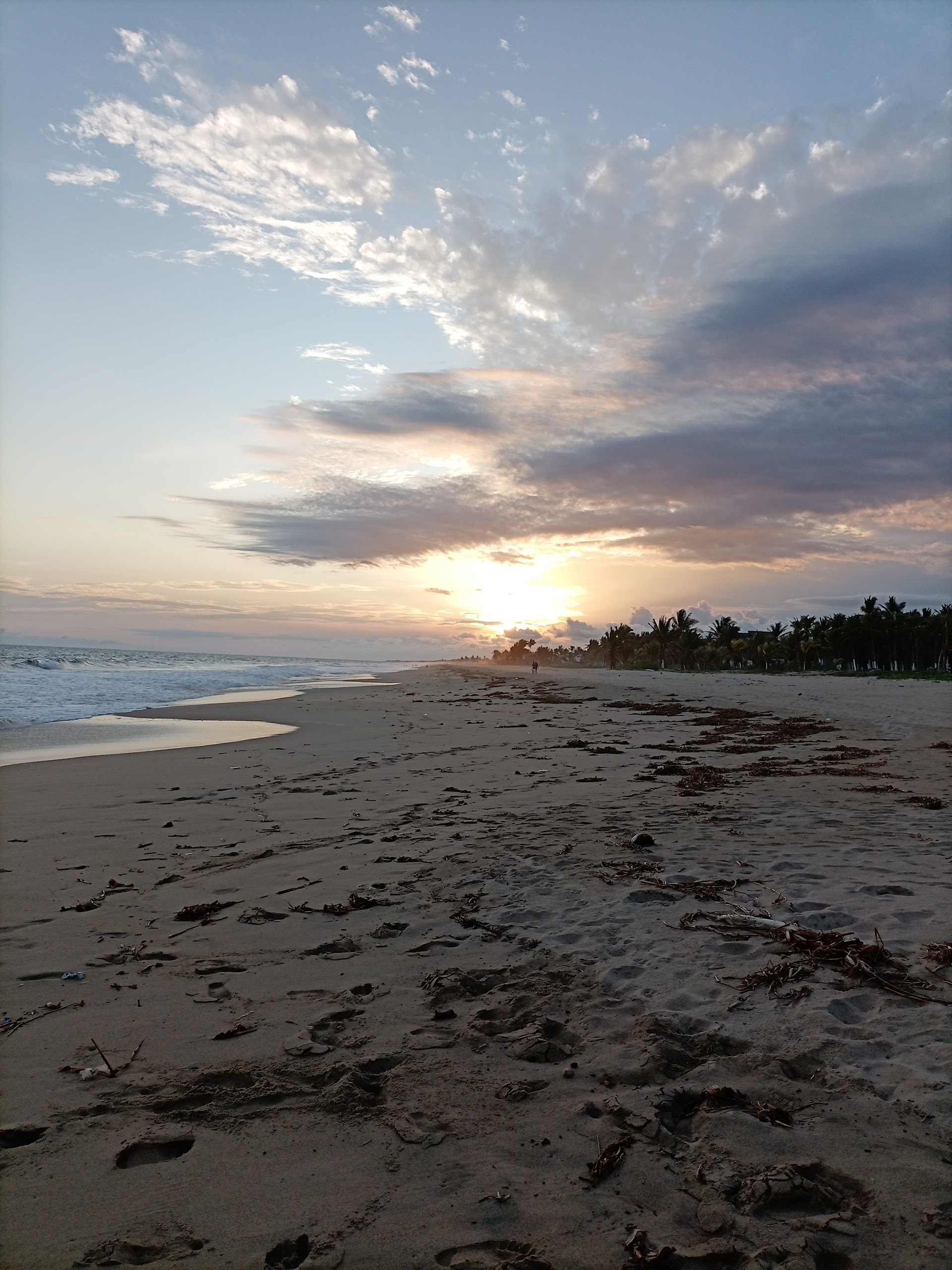 Los Panchitos image 5