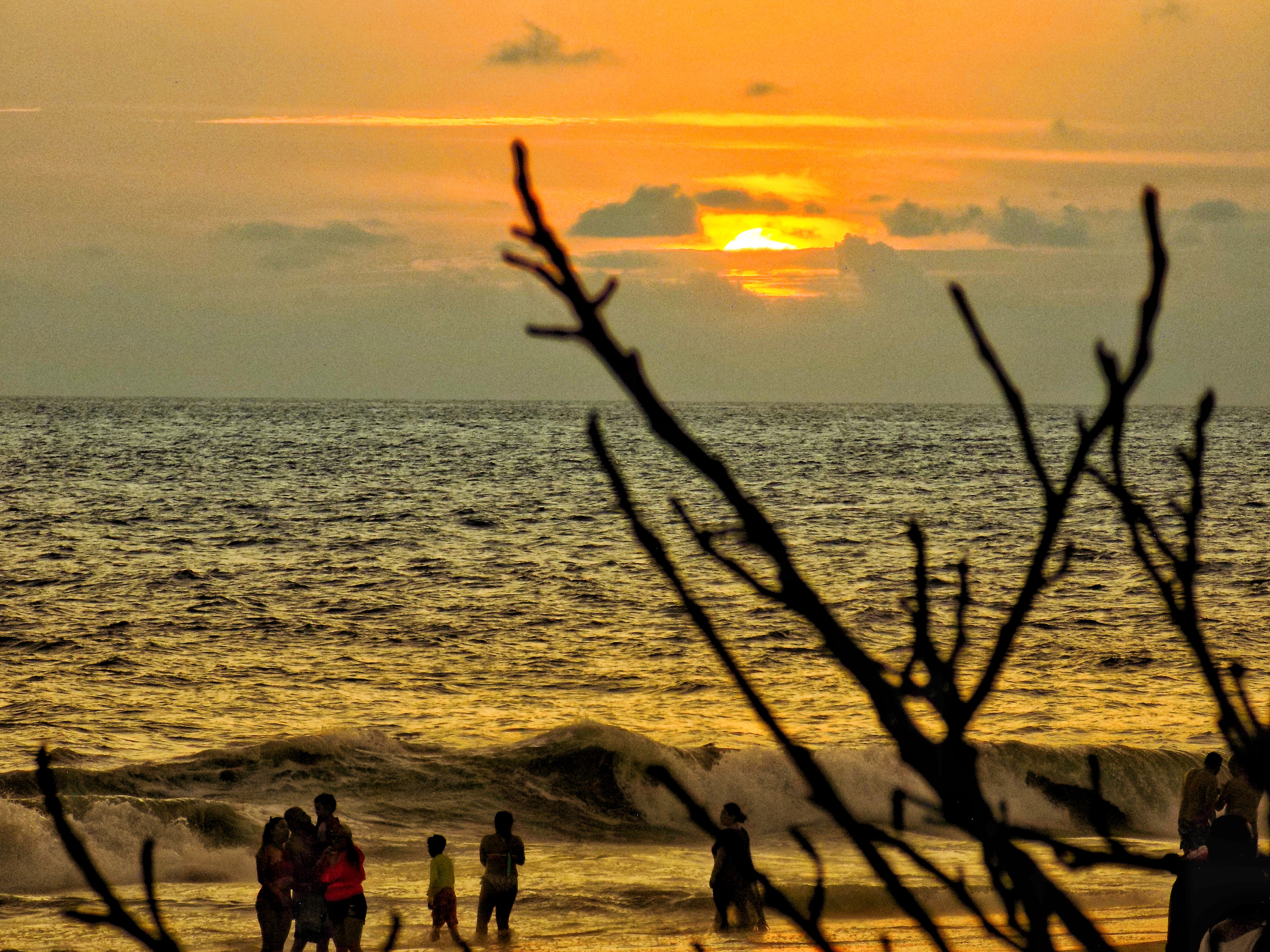 Los Panchitos image 6