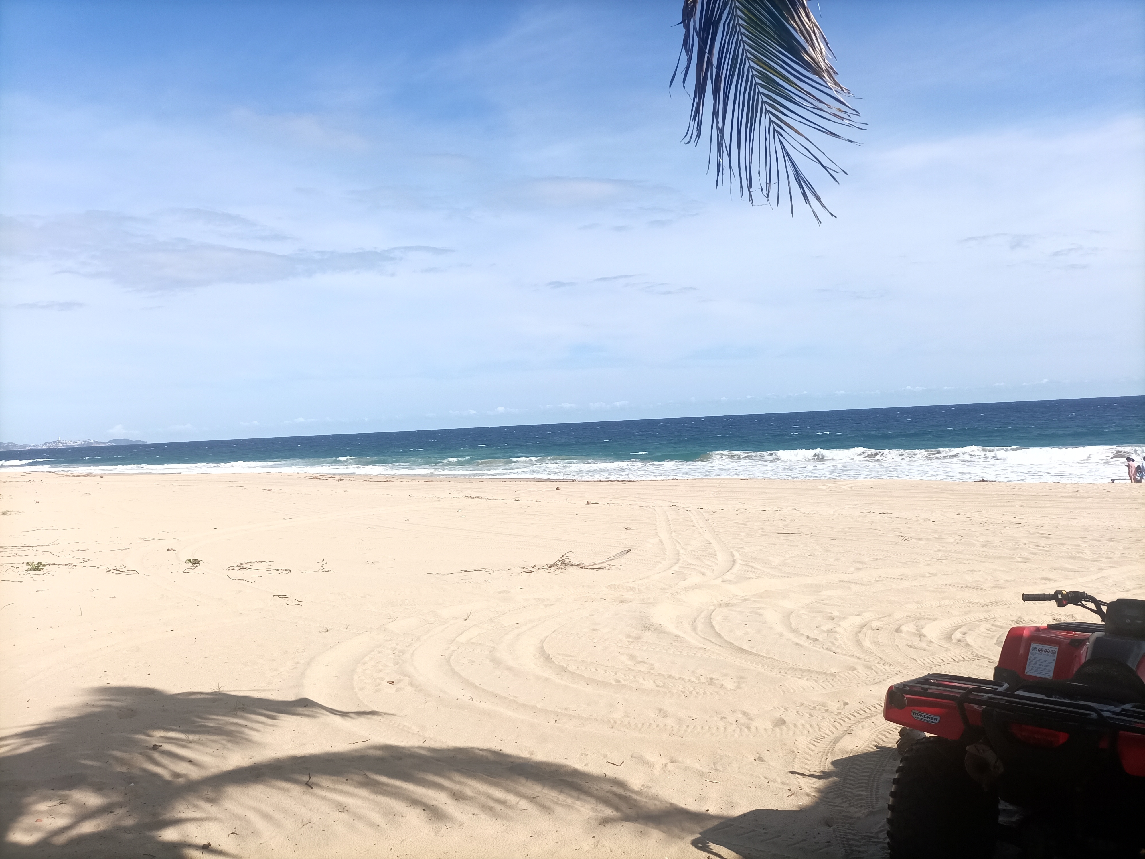 Los Panchitos image 7