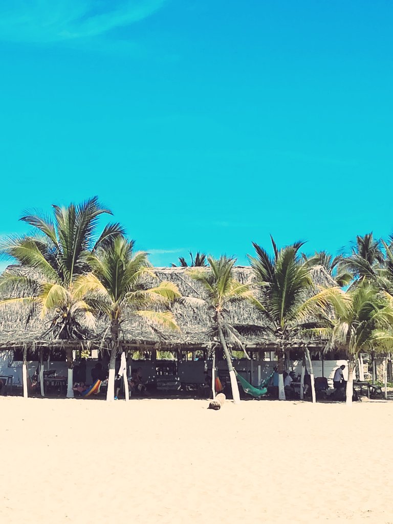 Los Panchitos image 8