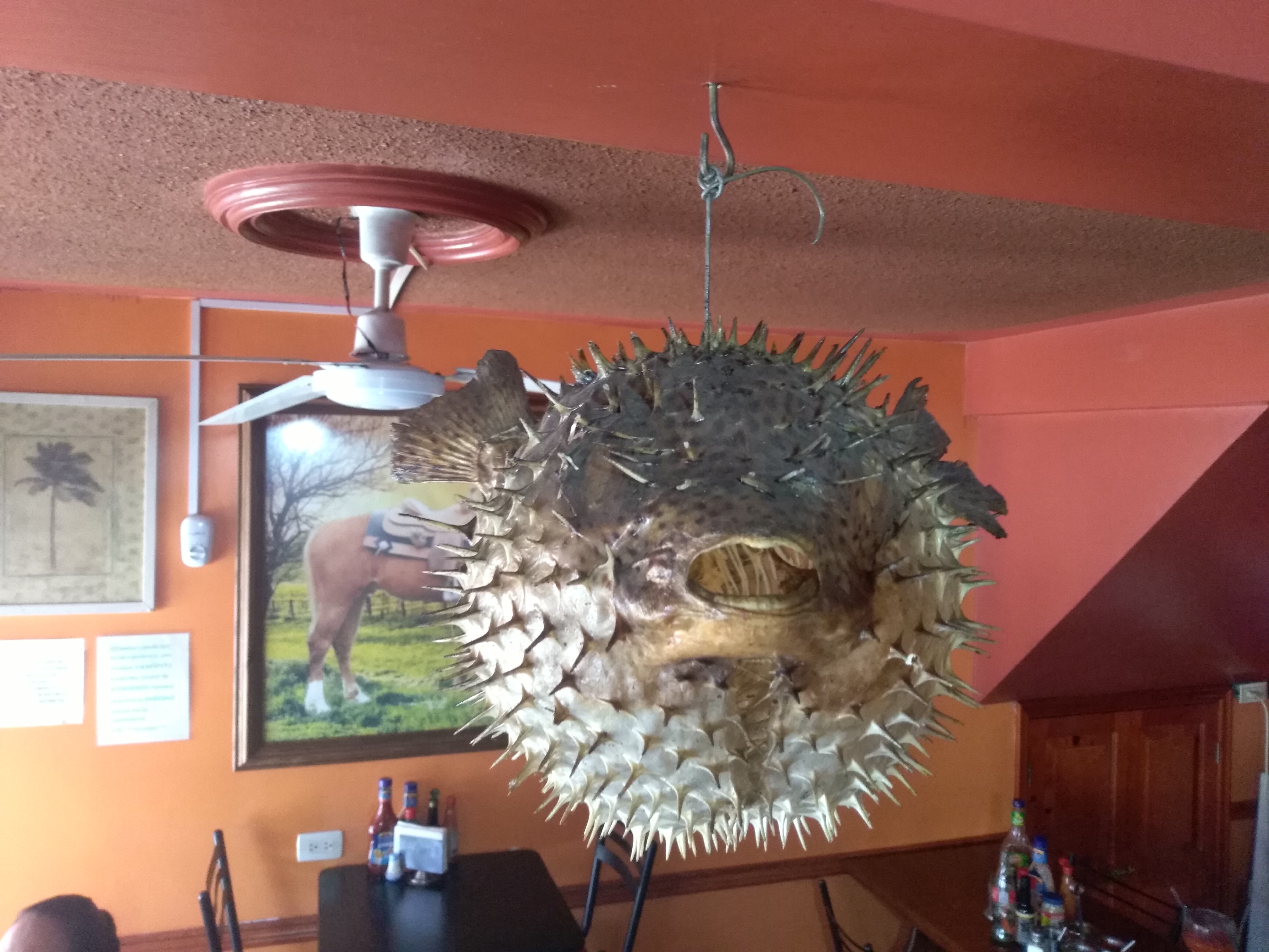 Restaurante La Bahía image 9