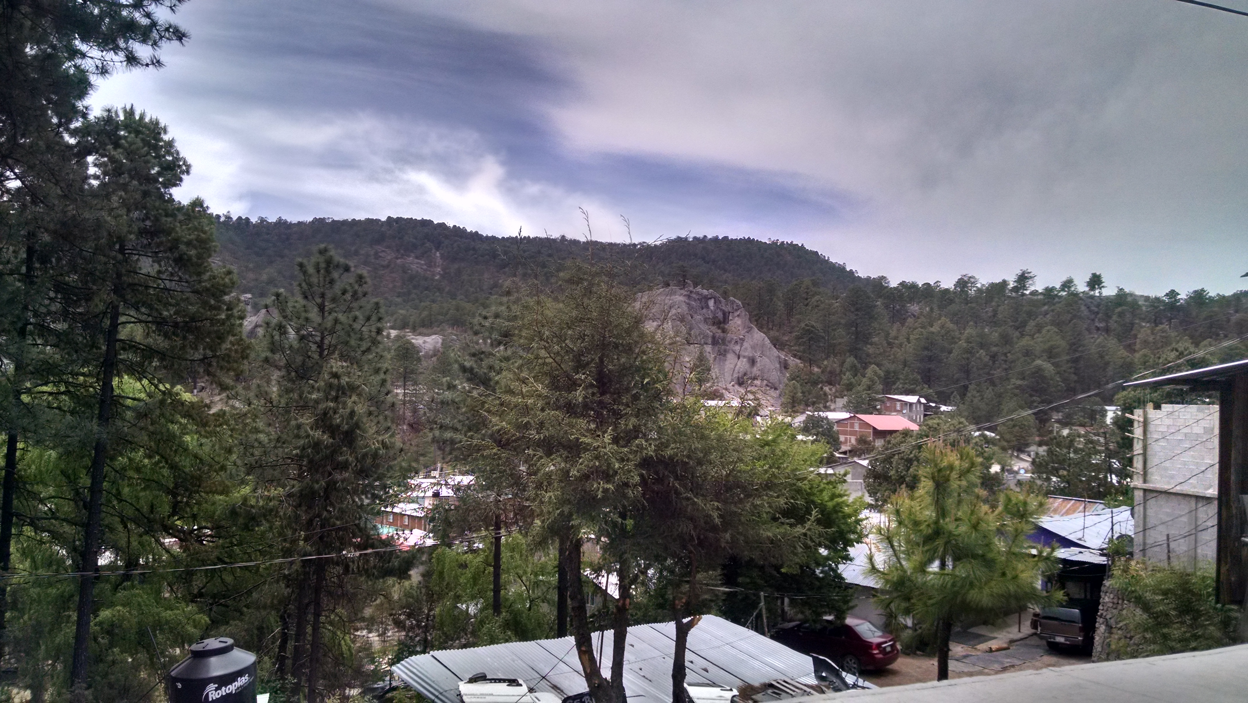 El Pollo Giro image 2