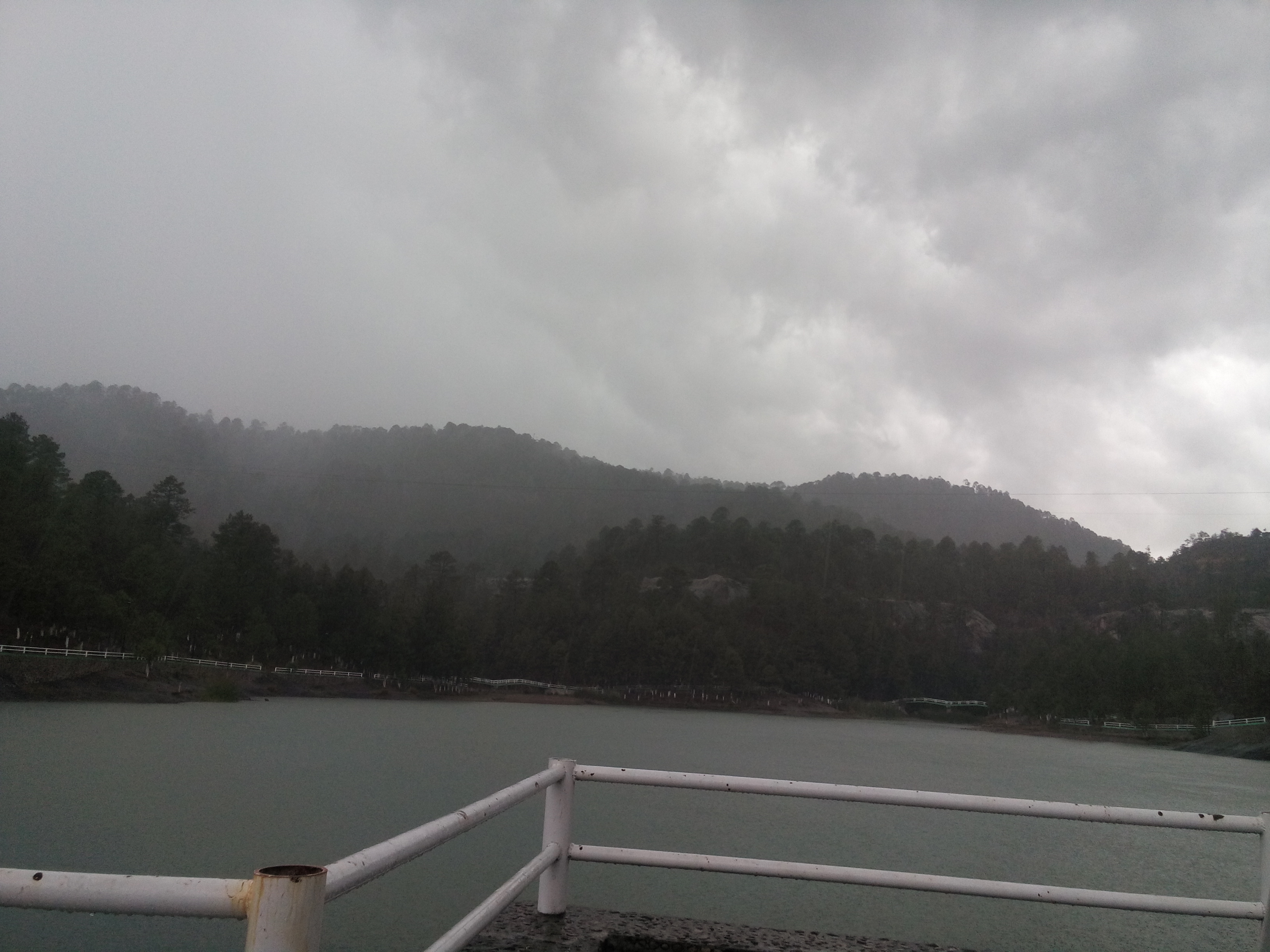 El Pollo Giro image 4