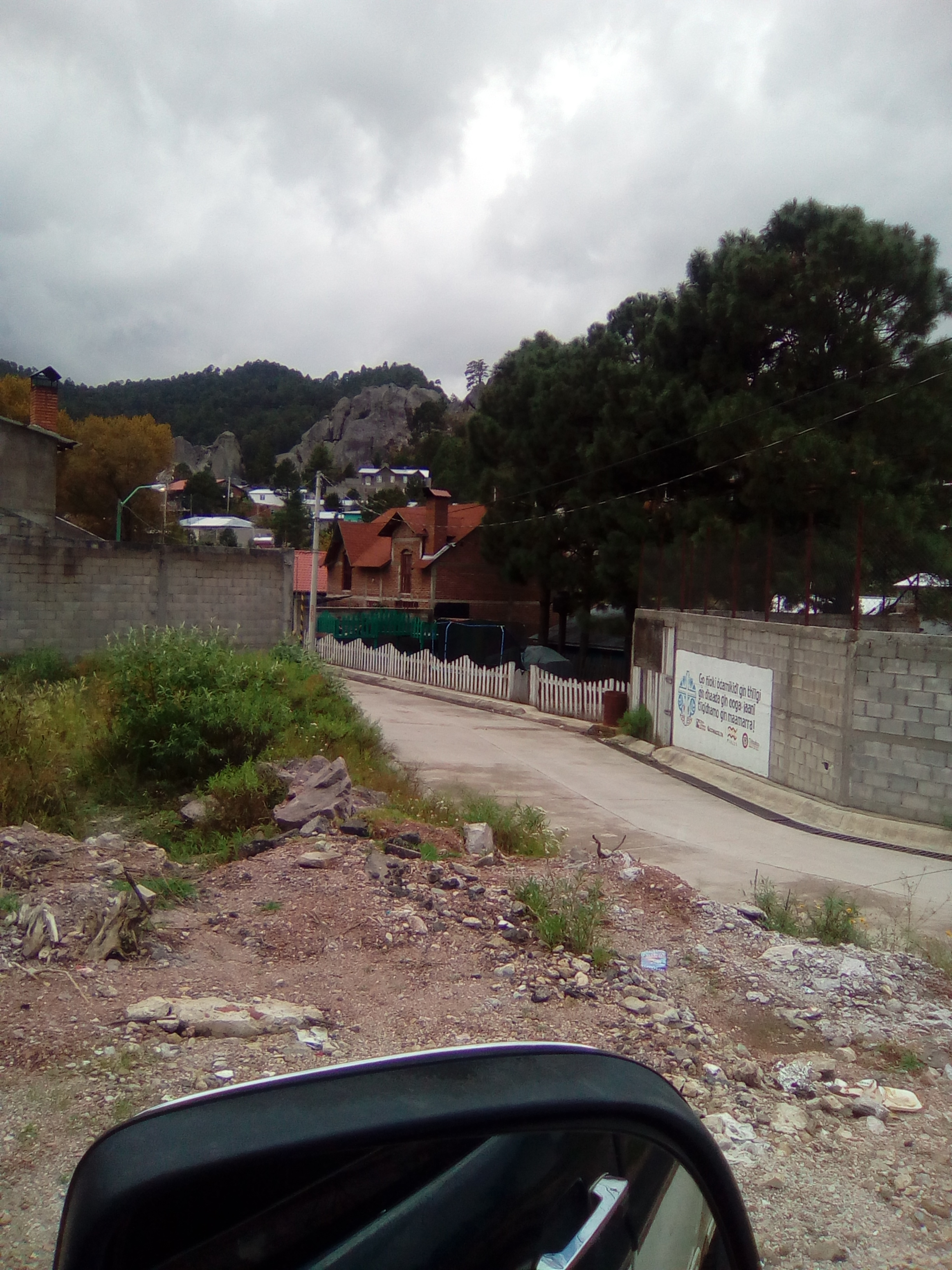 El Pollo Giro image 9