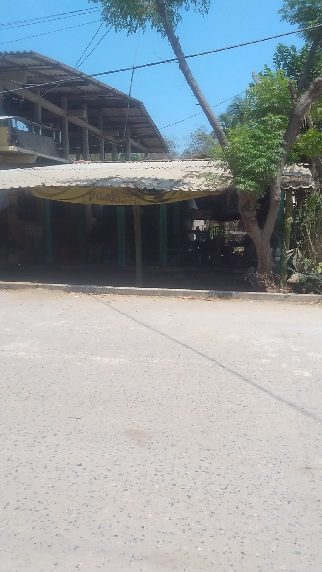 Fonda DOÑA SANDRA image 1