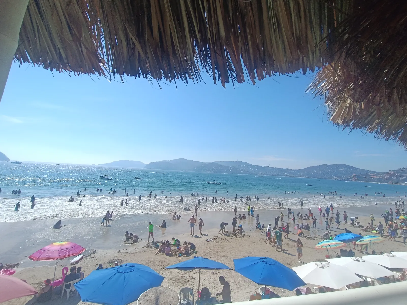 Rossy's image 5