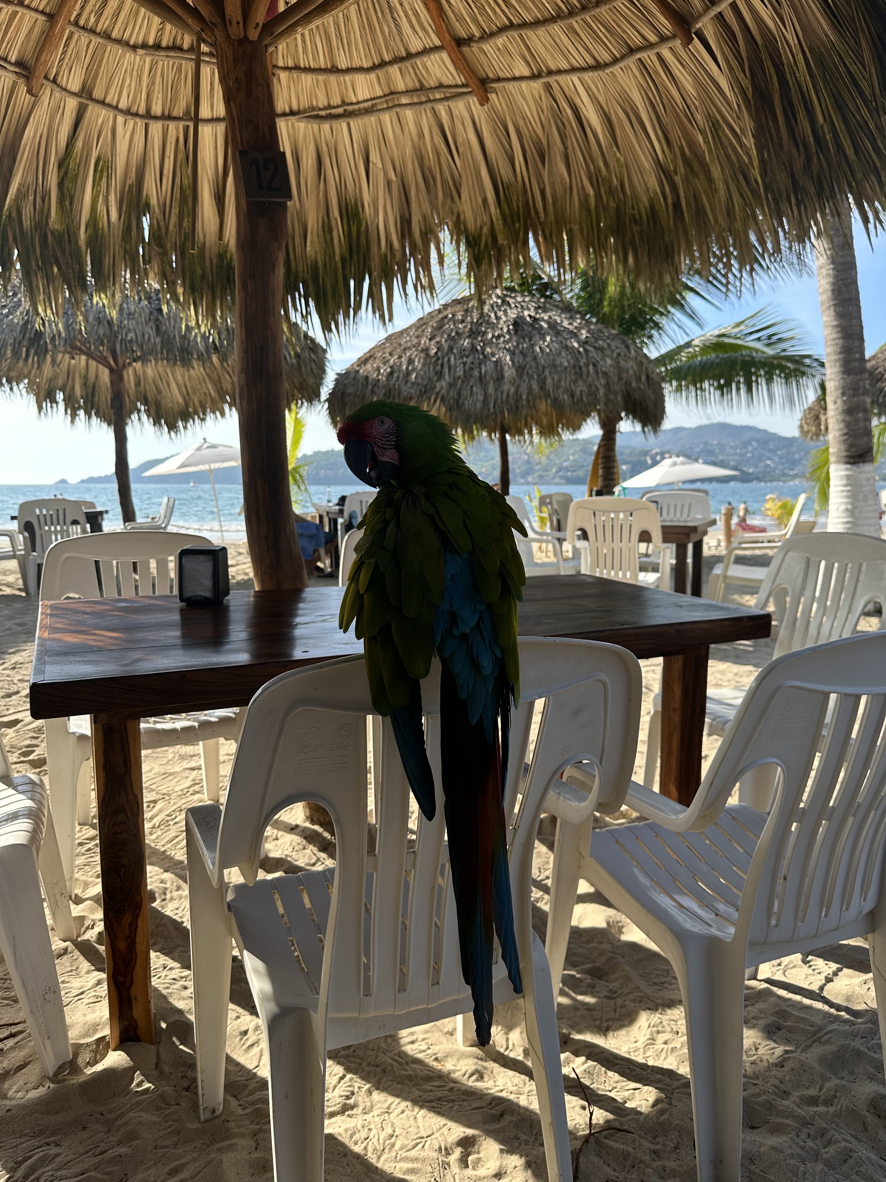 Restaurante Arena image 1