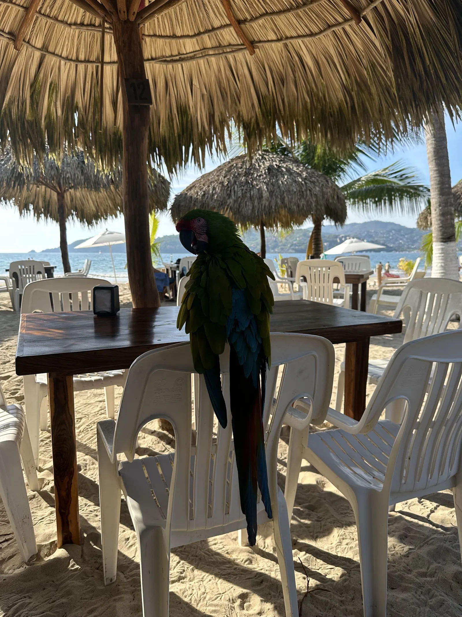 Restaurante Arena image 1