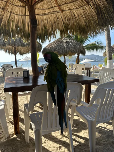 Restaurante Arena image 1