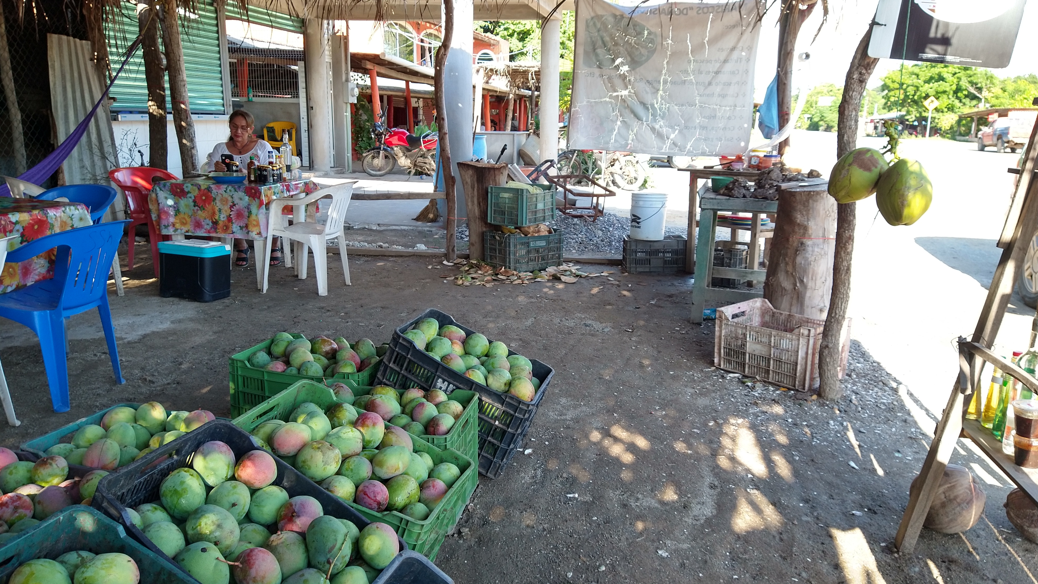 Mariscos Lupita image 5