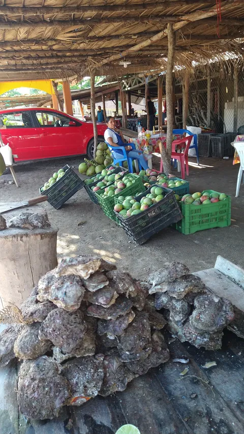 Mariscos Lupita image 6