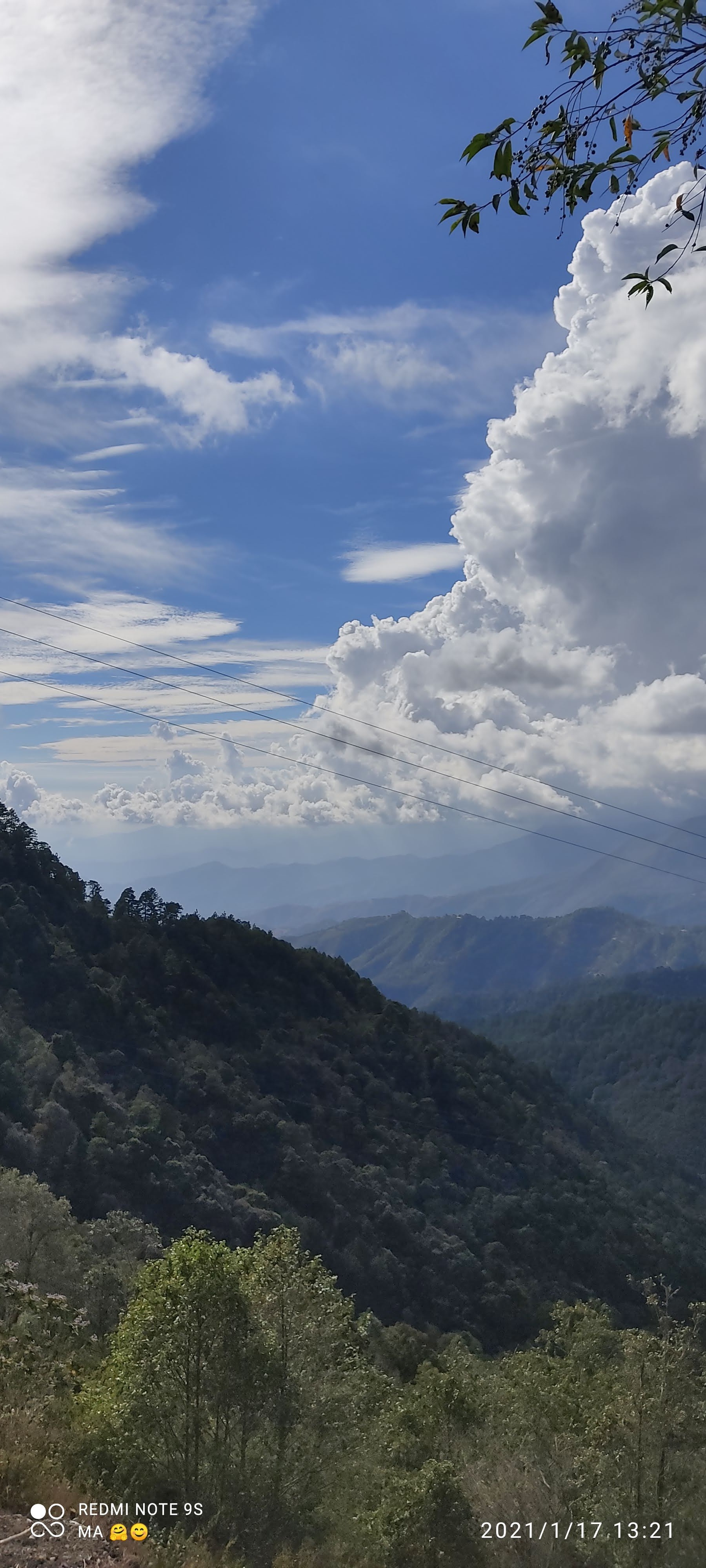 El Molcajete image 3